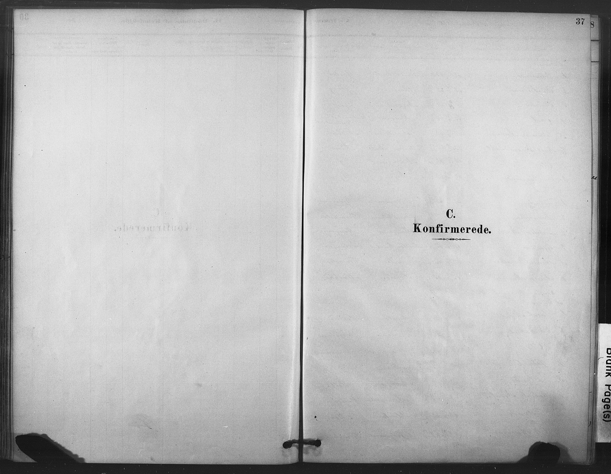 Ministerialprotokoller, klokkerbøker og fødselsregistre - Nord-Trøndelag, AV/SAT-A-1458/719/L0178: Parish register (official) no. 719A01, 1878-1900, p. 37