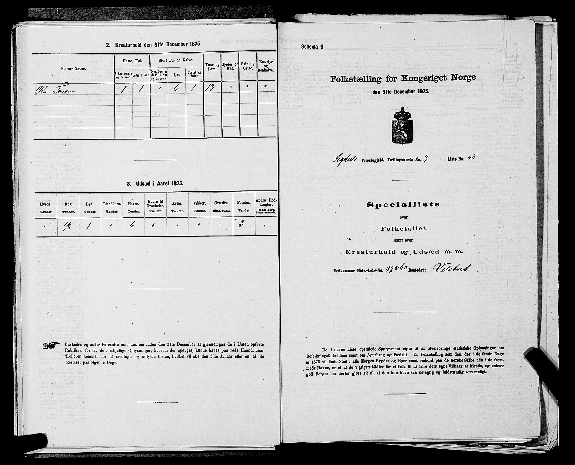 SAKO, 1875 census for 0621P Sigdal, 1875, p. 554