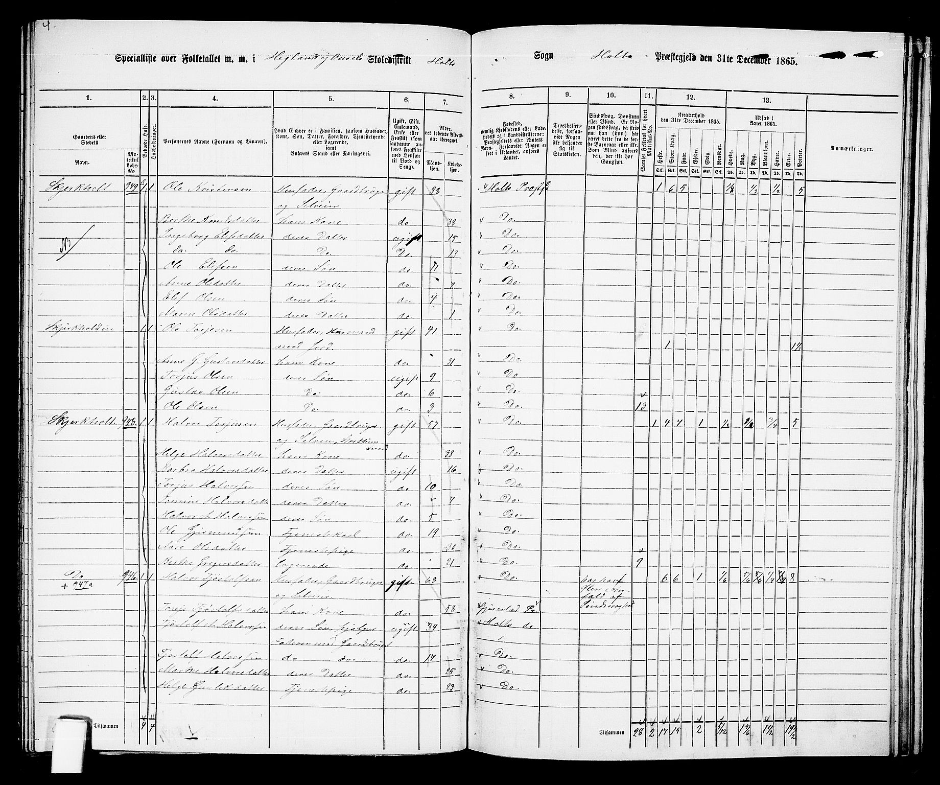 RA, 1865 census for Holt/Holt, 1865, p. 149