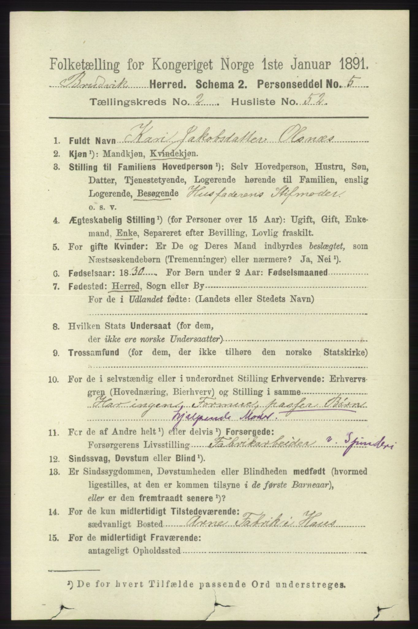 RA, 1891 census for 1251 Bruvik, 1891, p. 787