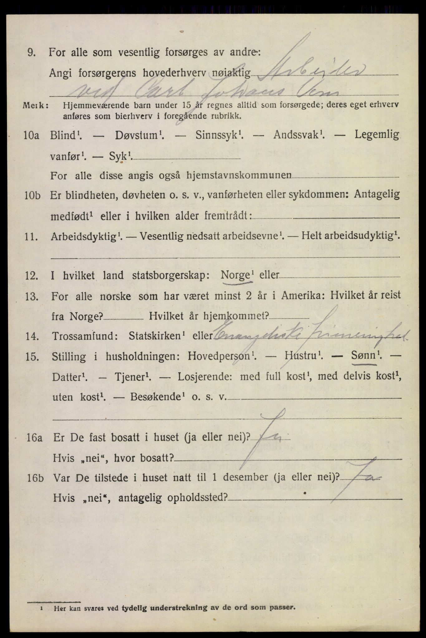 SAKO, 1920 census for Borre, 1920, p. 6215
