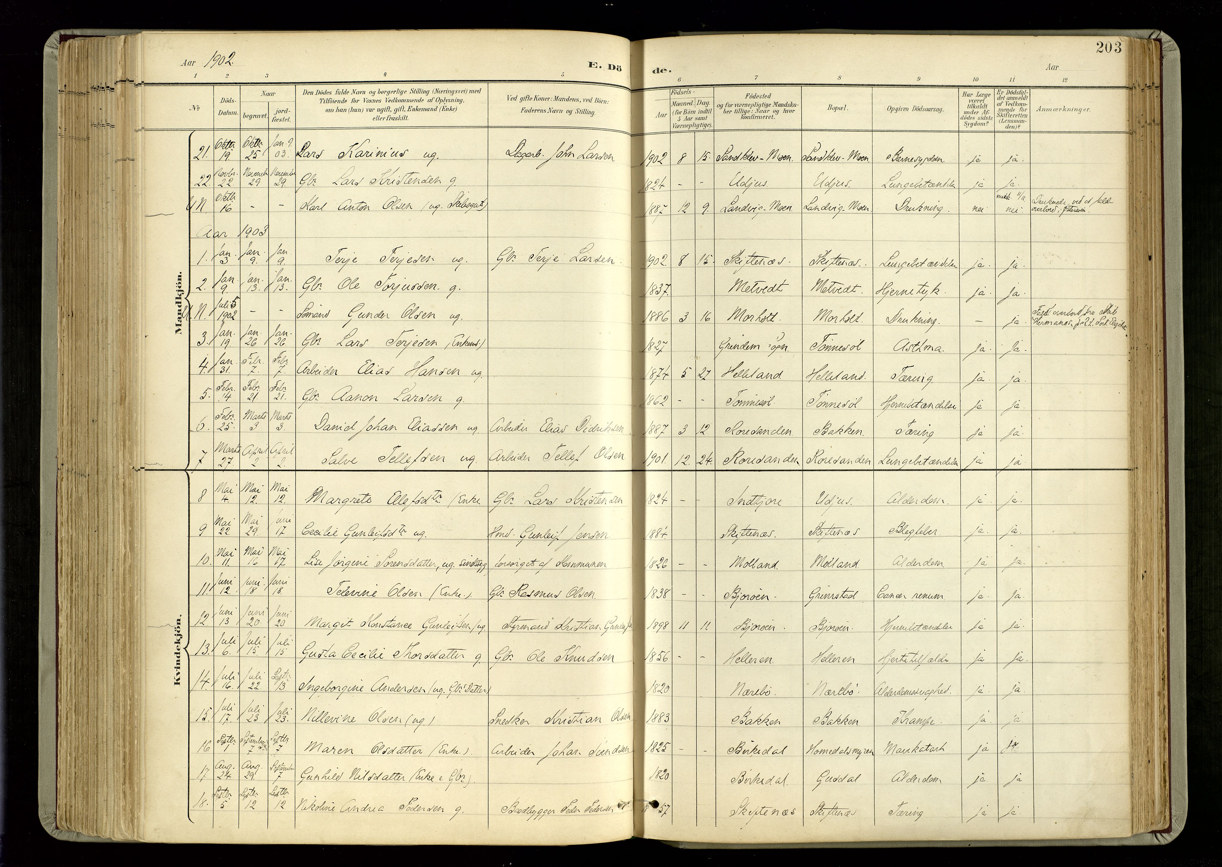 Hommedal sokneprestkontor, SAK/1111-0023/F/Fa/Fab/L0007: Parish register (official) no. A 7, 1898-1924, p. 203