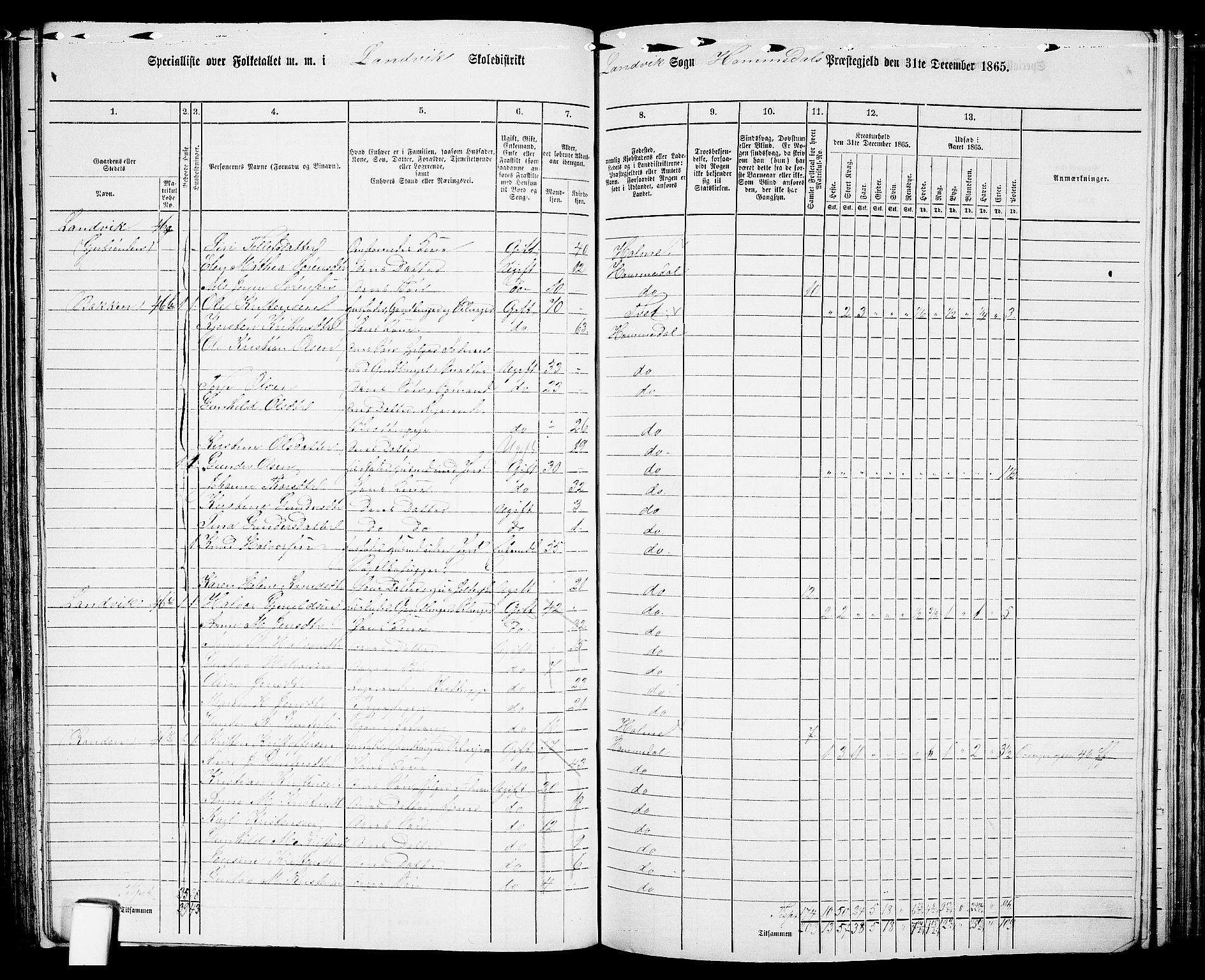 RA, 1865 census for Homedal, 1865, p. 81