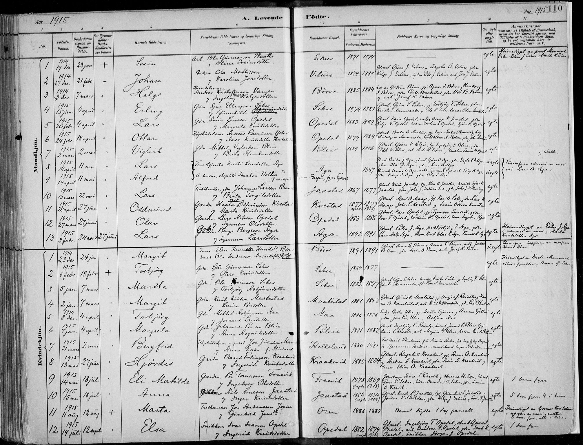 Ullensvang sokneprestembete, SAB/A-78701/H/Haa: Parish register (official) no. B  1, 1882-1918, p. 110