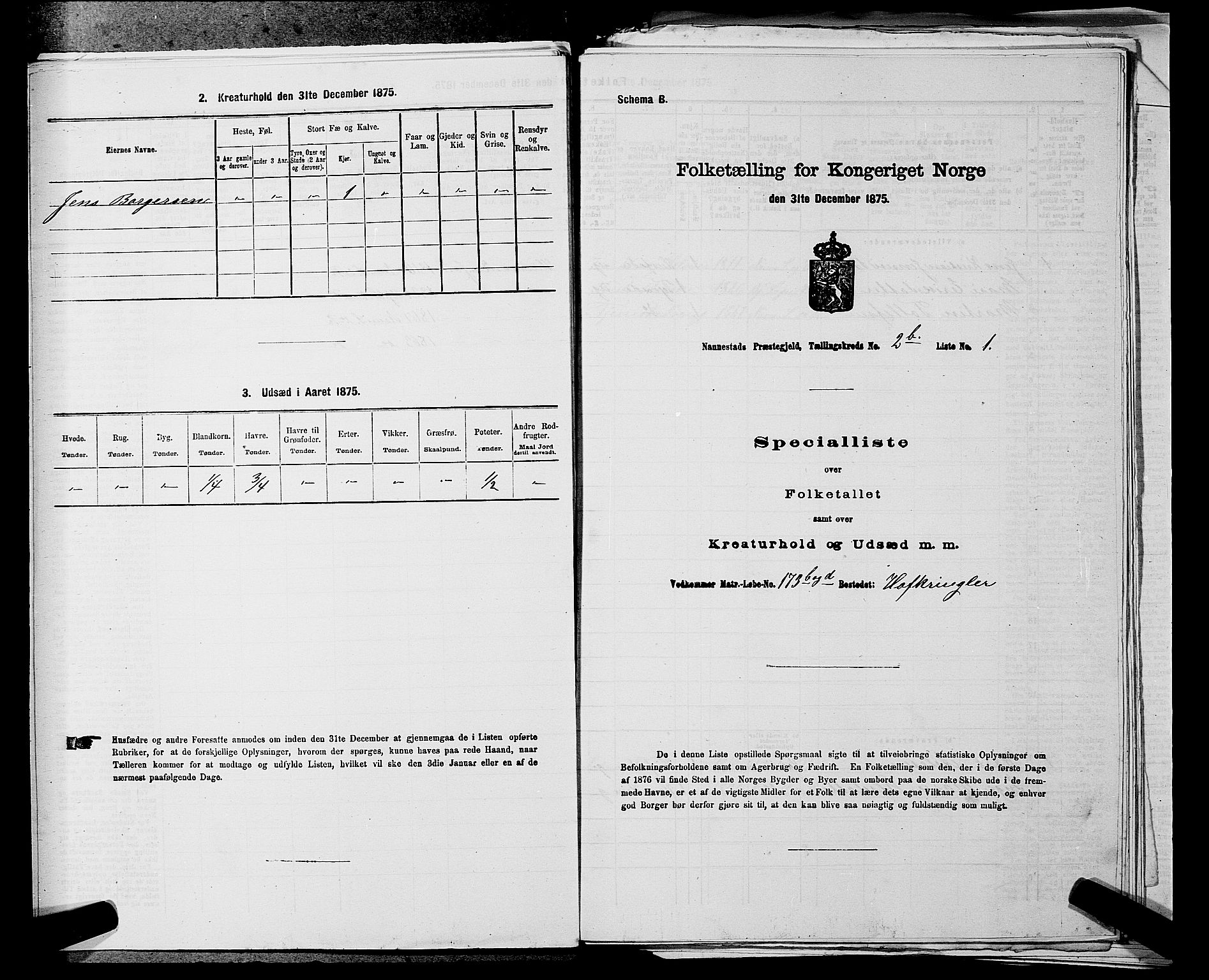 RA, 1875 census for 0238P Nannestad, 1875, p. 336