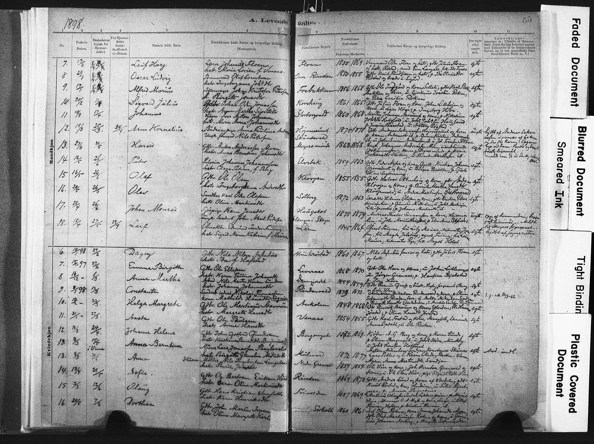 Ministerialprotokoller, klokkerbøker og fødselsregistre - Nord-Trøndelag, SAT/A-1458/721/L0207: Parish register (official) no. 721A02, 1880-1911, p. 55