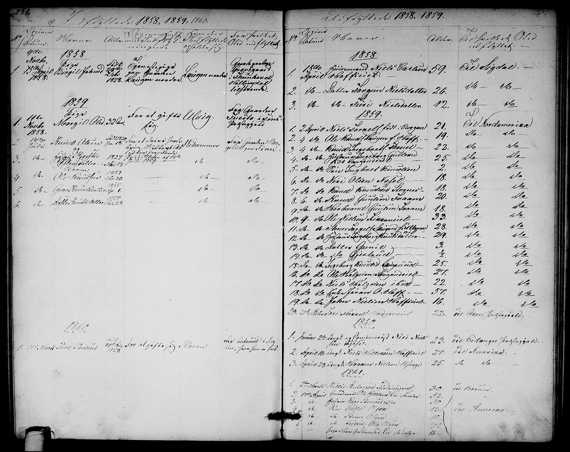 Rollag kirkebøker, SAKO/A-240/G/Ga/L0003: Parish register (copy) no. I 3, 1856-1887, p. 251