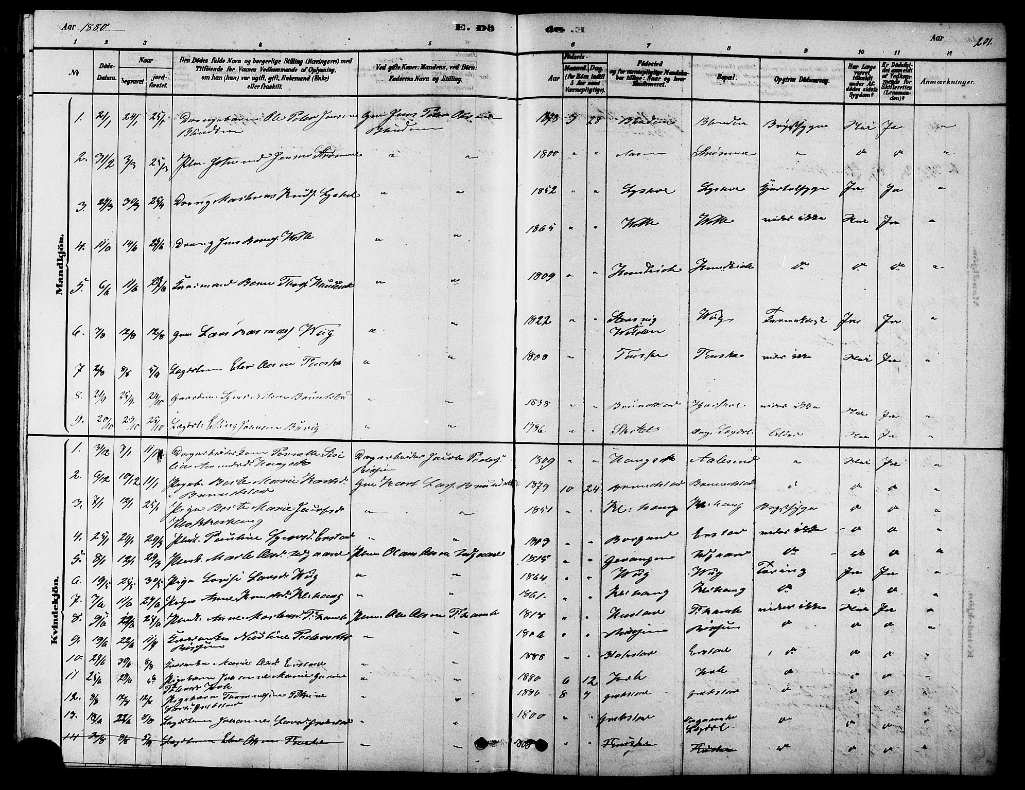 Ministerialprotokoller, klokkerbøker og fødselsregistre - Møre og Romsdal, AV/SAT-A-1454/523/L0339: Parish register (copy) no. 523C02, 1878-1891, p. 201