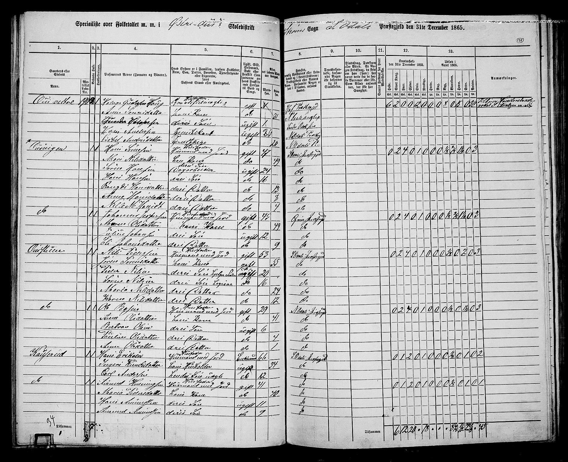 RA, 1865 census for Sør-Odal, 1865, p. 123