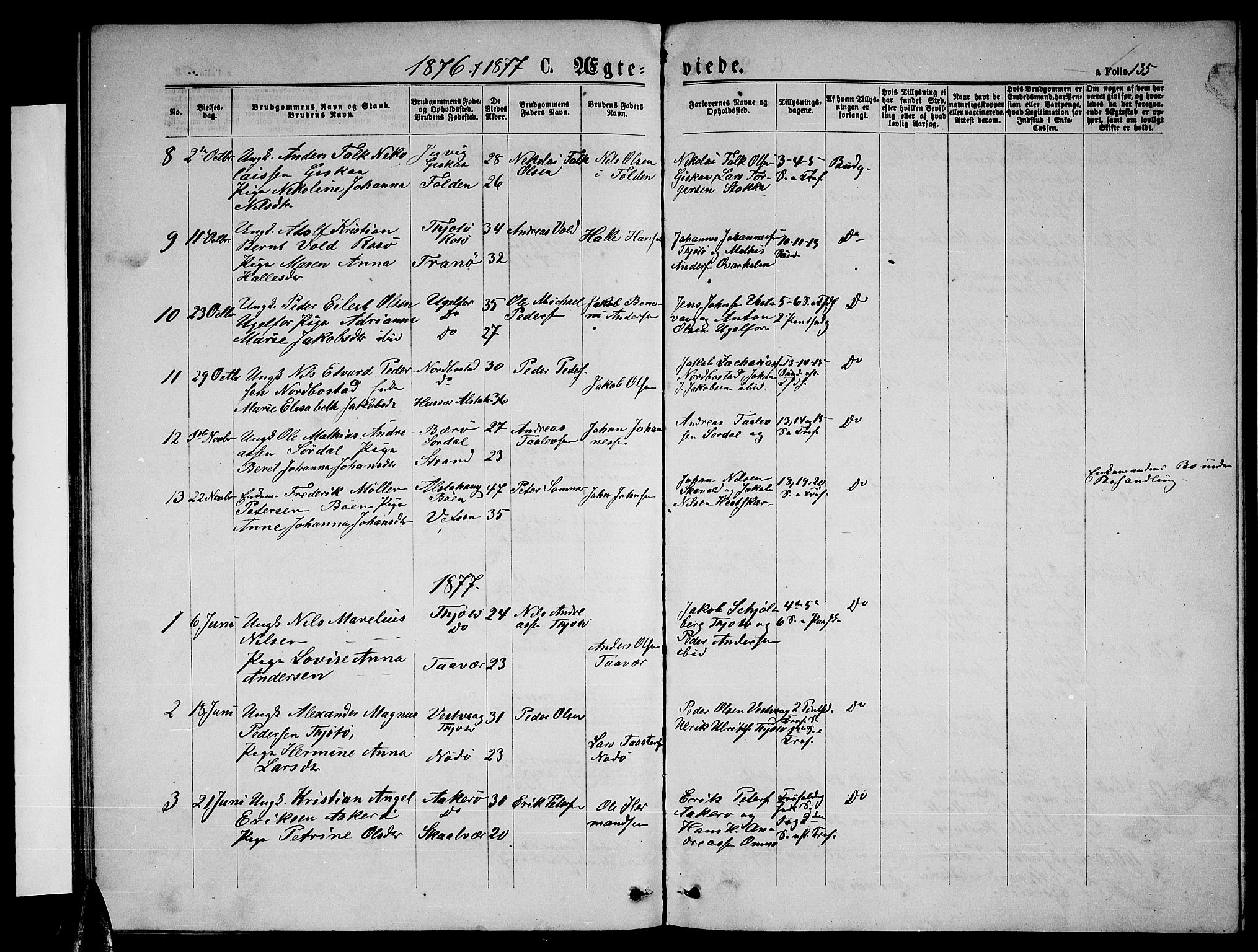 Ministerialprotokoller, klokkerbøker og fødselsregistre - Nordland, AV/SAT-A-1459/817/L0267: Parish register (copy) no. 817C02, 1870-1883, p. 135