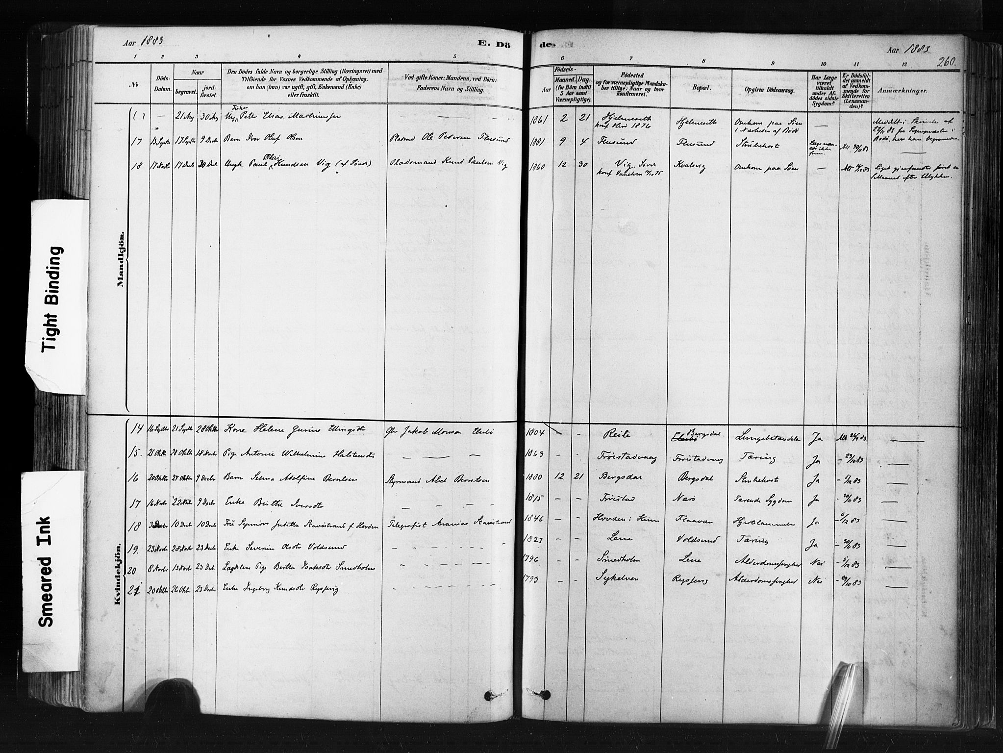 Ministerialprotokoller, klokkerbøker og fødselsregistre - Møre og Romsdal, AV/SAT-A-1454/507/L0073: Parish register (official) no. 507A08, 1878-1904, p. 260