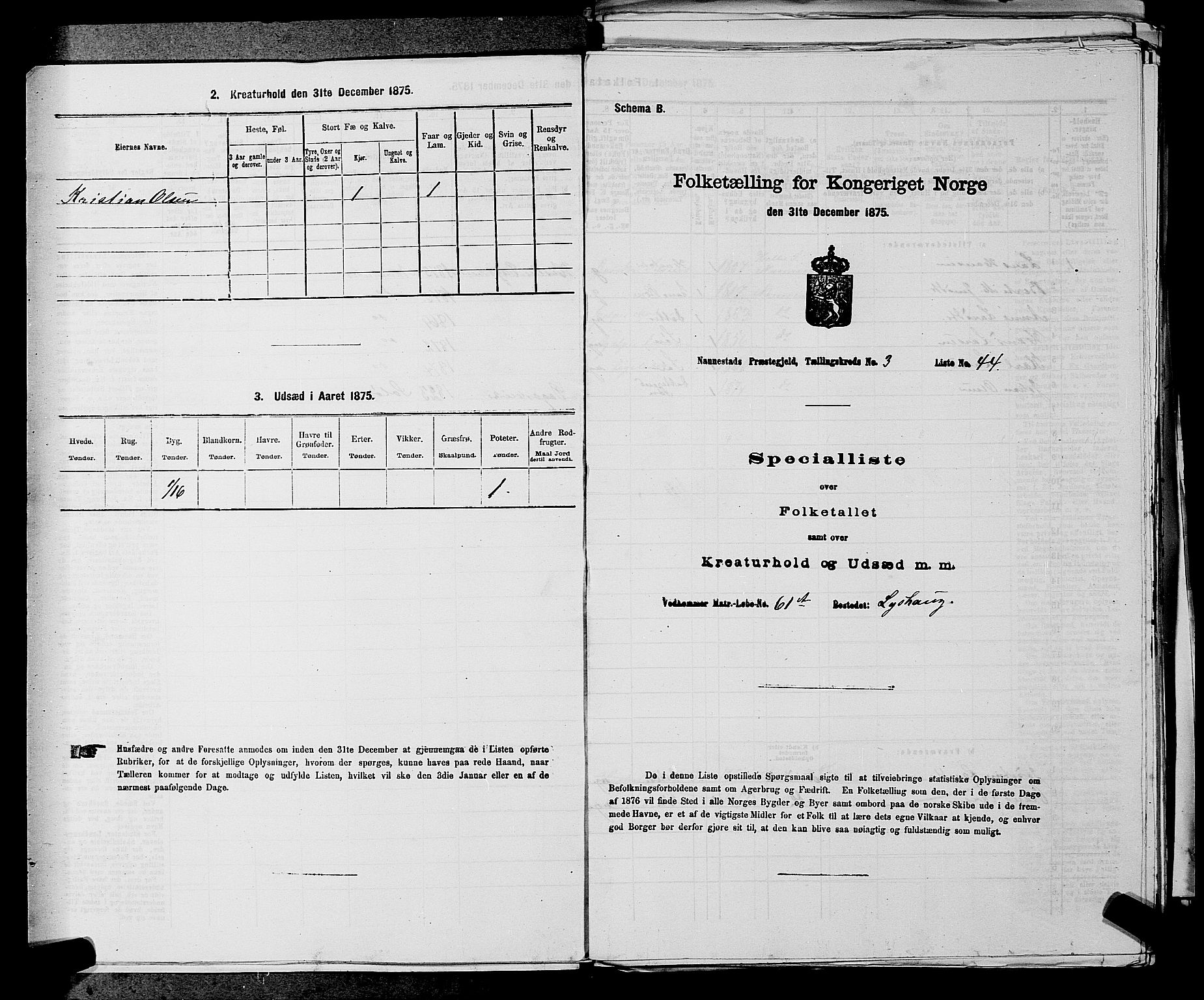 RA, 1875 census for 0238P Nannestad, 1875, p. 414