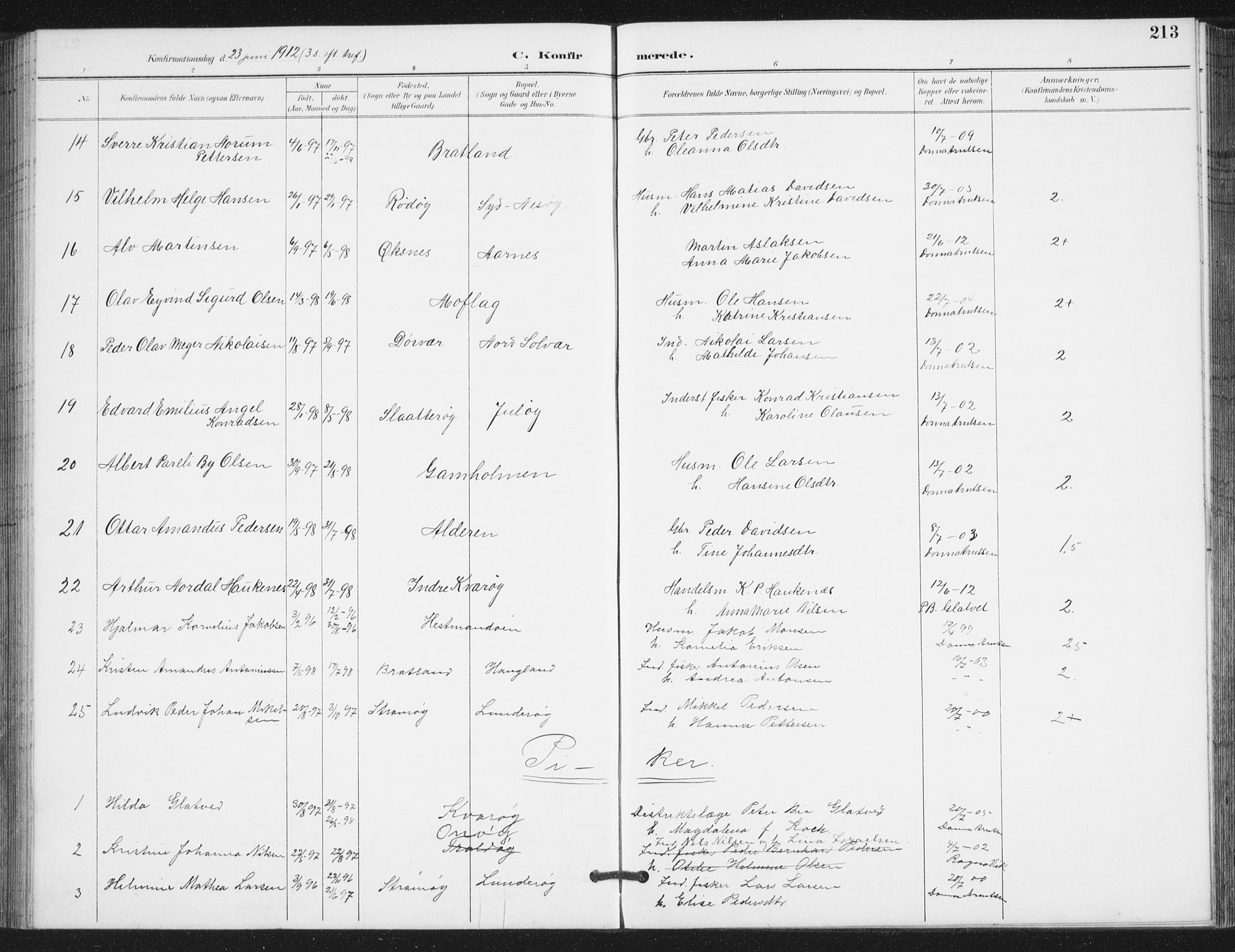 Ministerialprotokoller, klokkerbøker og fødselsregistre - Nordland, AV/SAT-A-1459/839/L0573: Parish register (copy) no. 839C03, 1892-1917, p. 213