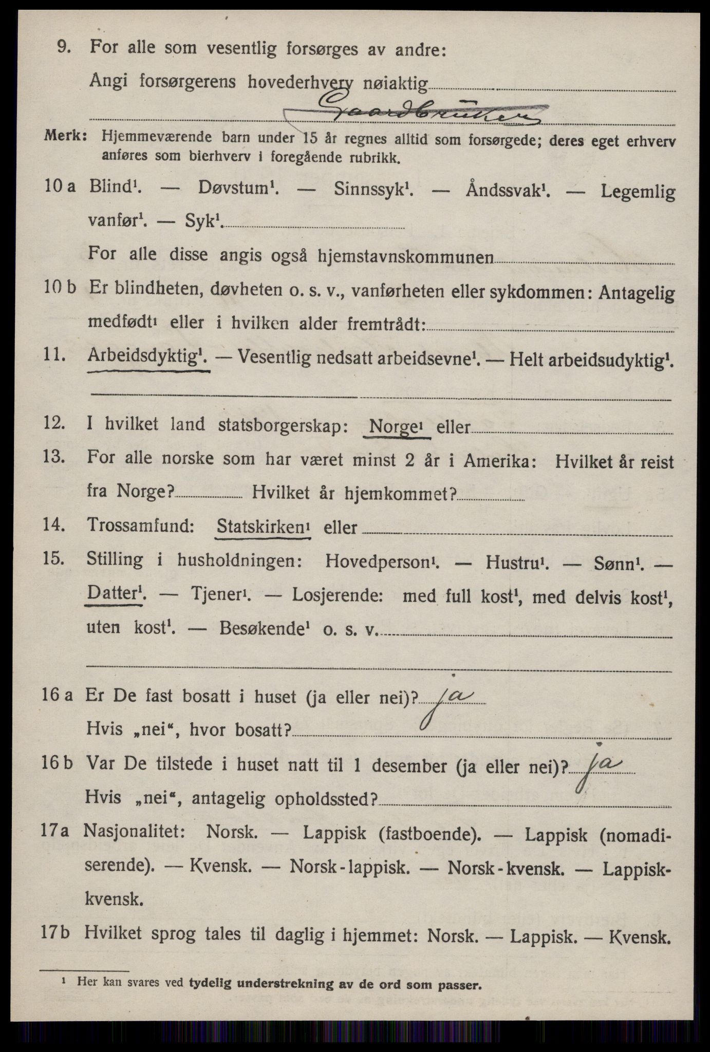 SAT, 1920 census for Hølonda, 1920, p. 1176