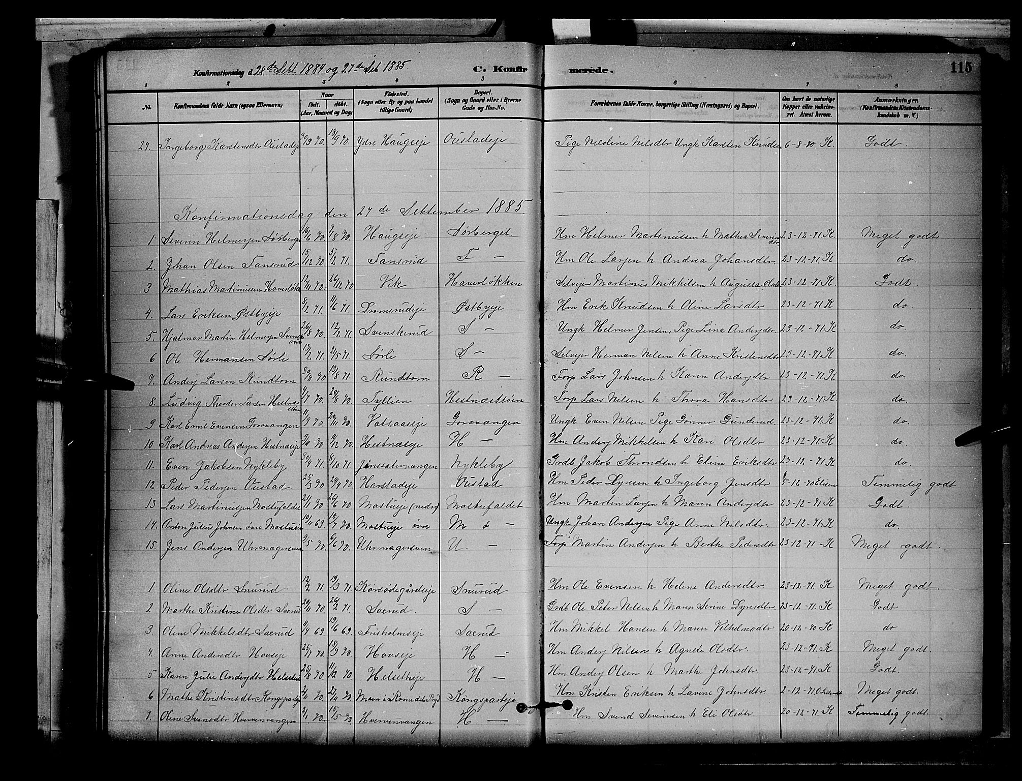 Stange prestekontor, SAH/PREST-002/L/L0008: Parish register (copy) no. 8, 1882-1895, p. 115