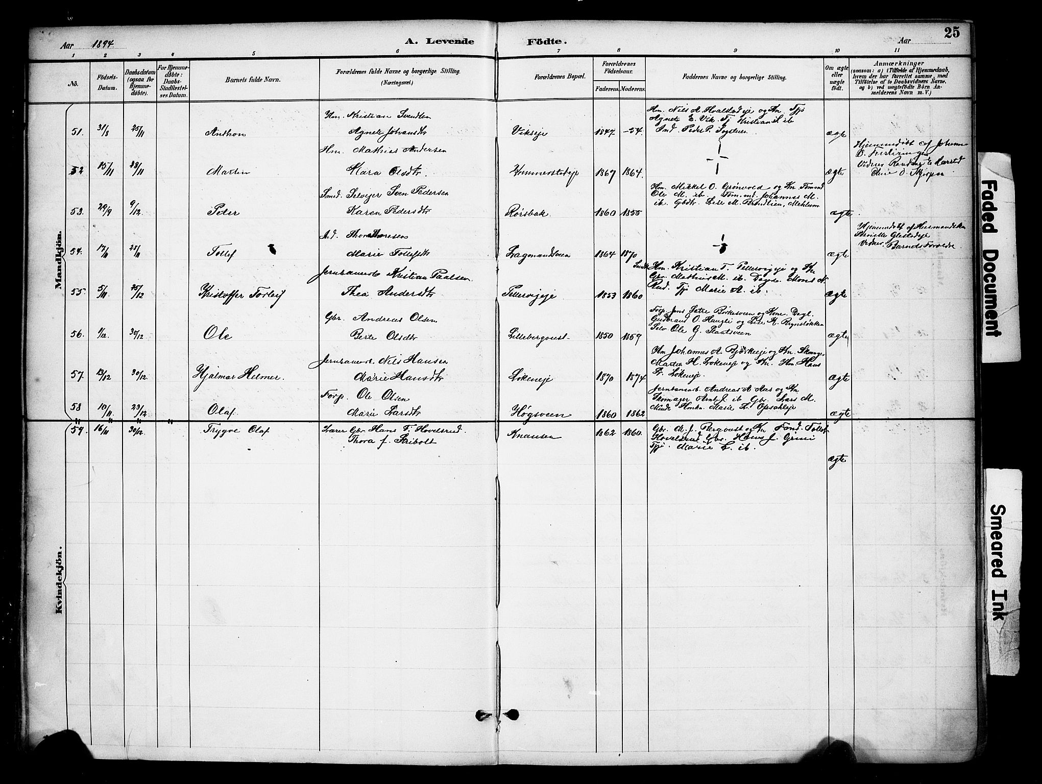 Ringsaker prestekontor, AV/SAH-PREST-014/K/Ka/L0016: Parish register (official) no. 16, 1891-1904, p. 25