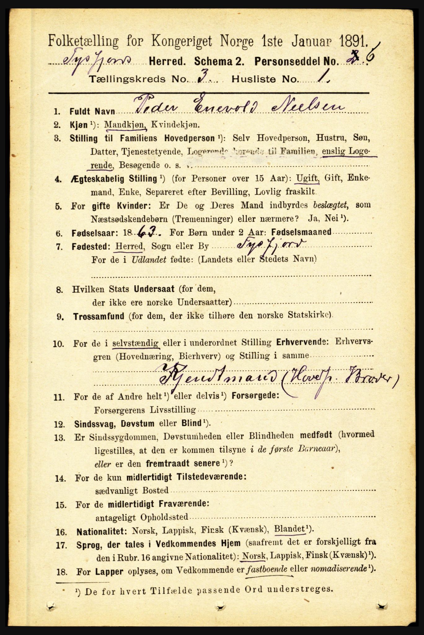 RA, 1891 census for 1850 Tysfjord, 1891, p. 1051