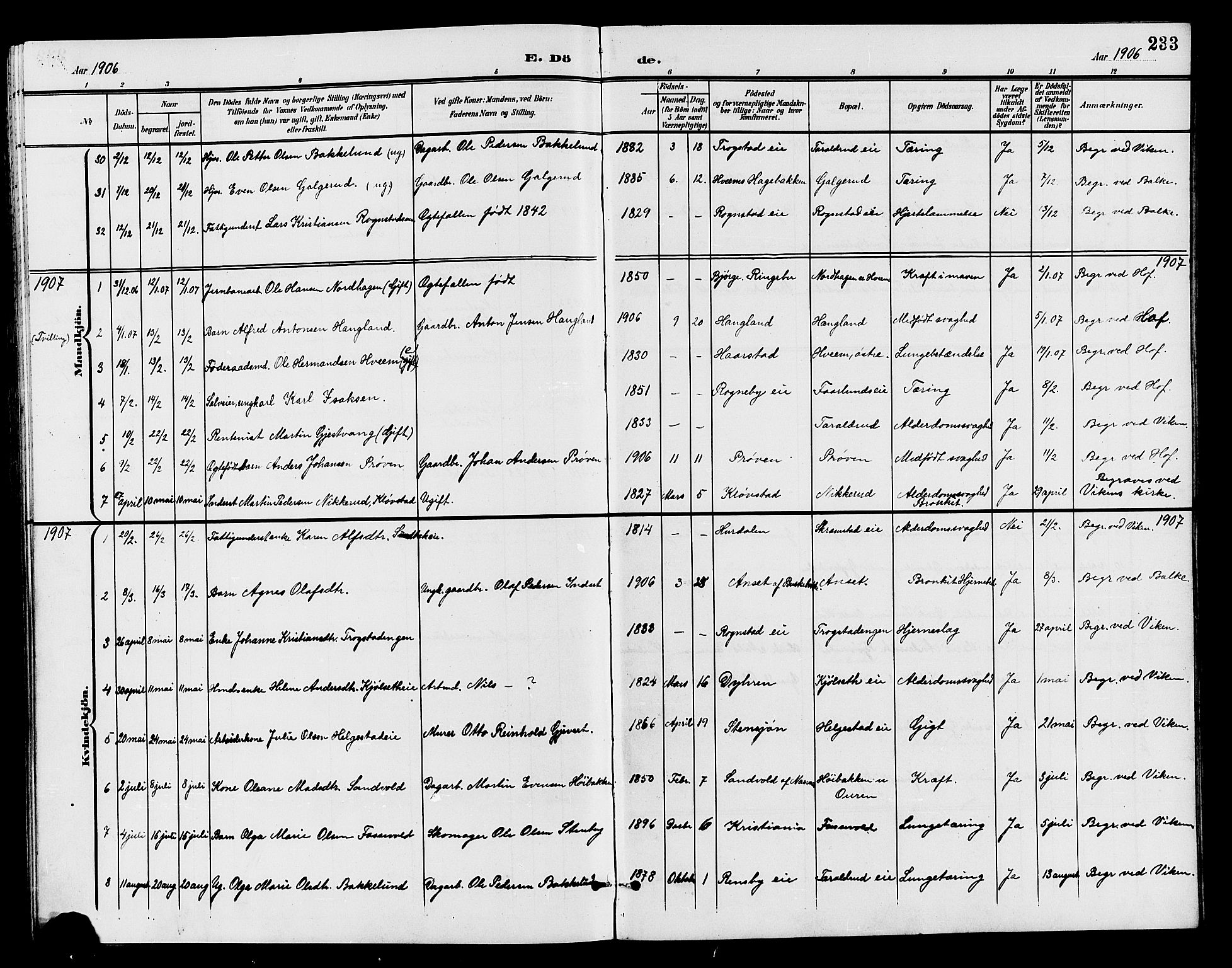 Østre Toten prestekontor, AV/SAH-PREST-104/H/Ha/Hab/L0007: Parish register (copy) no. 7, 1901-1912, p. 233