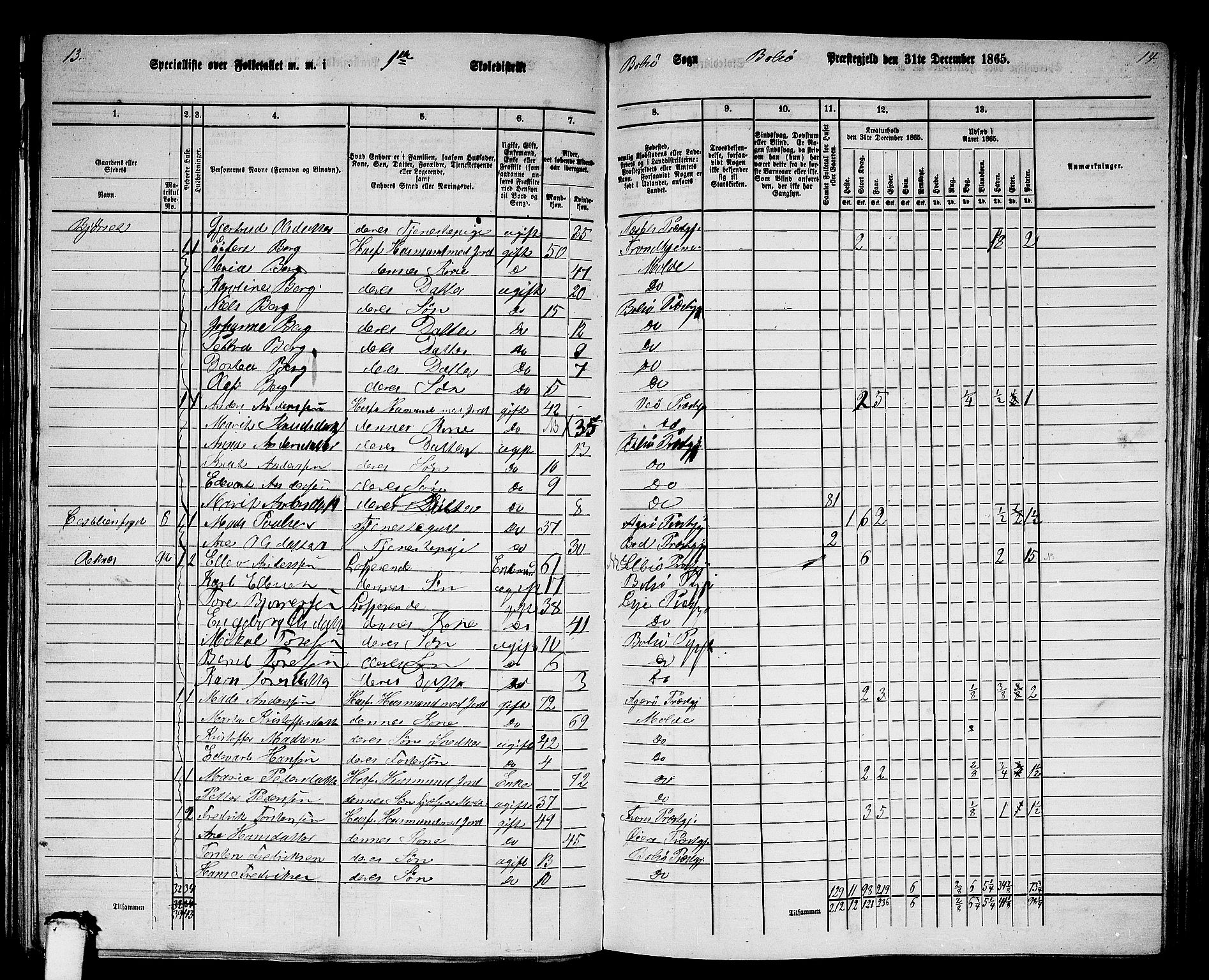 RA, 1865 census for Bolsøy, 1865, p. 14