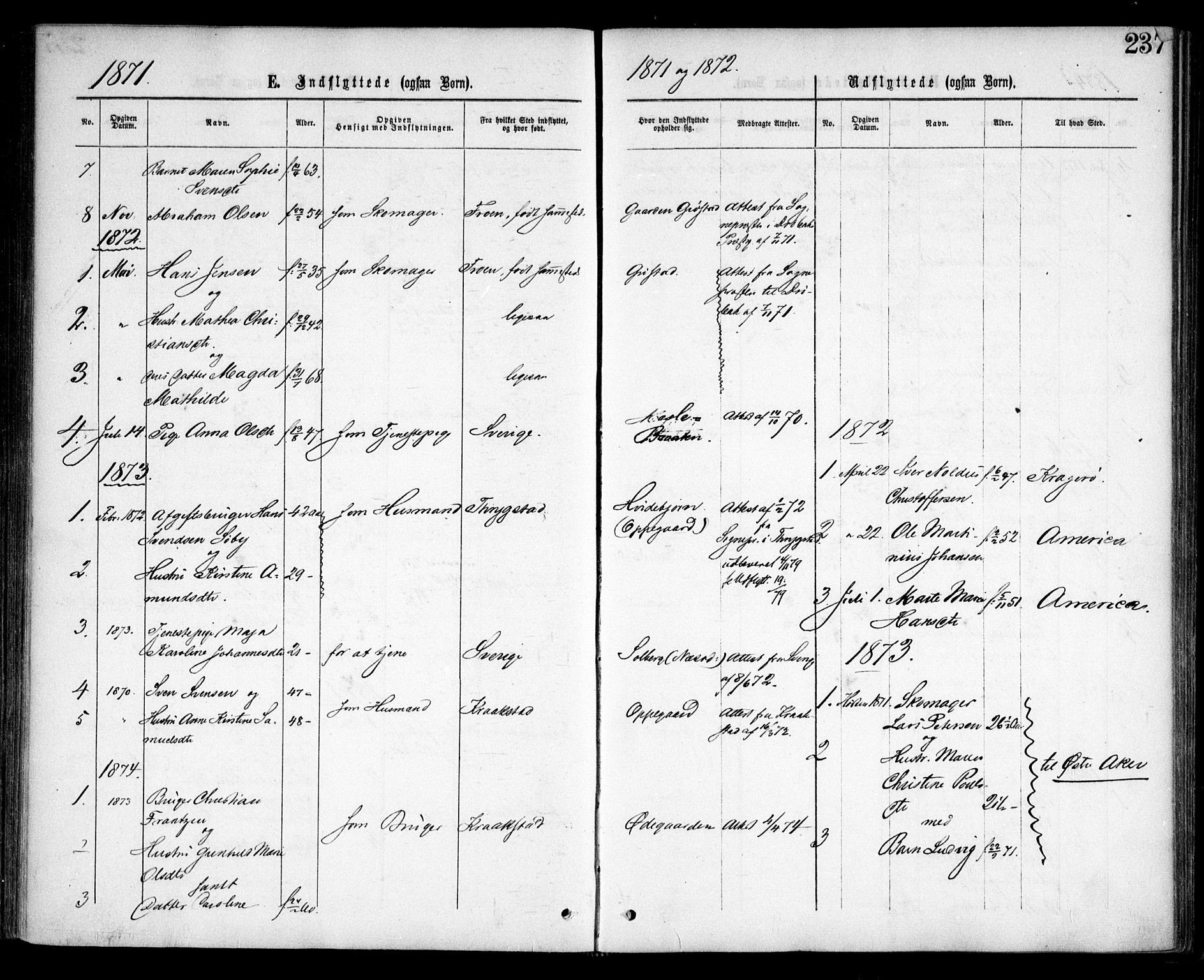 Nesodden prestekontor Kirkebøker, SAO/A-10013/F/Fa/L0008: Parish register (official) no. I 8, 1869-1879, p. 237