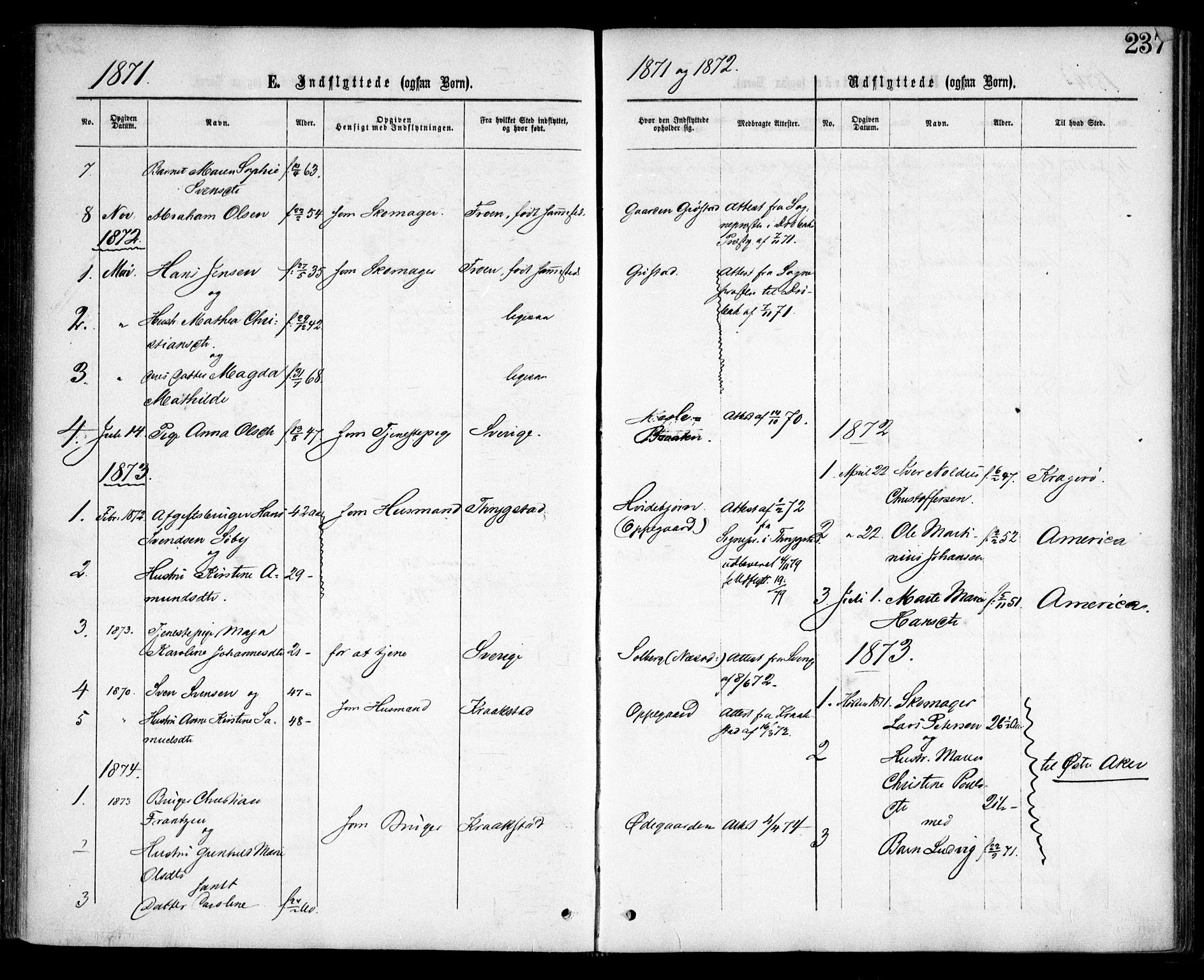 Nesodden prestekontor Kirkebøker, AV/SAO-A-10013/F/Fa/L0008: Parish register (official) no. I 8, 1869-1879, p. 237