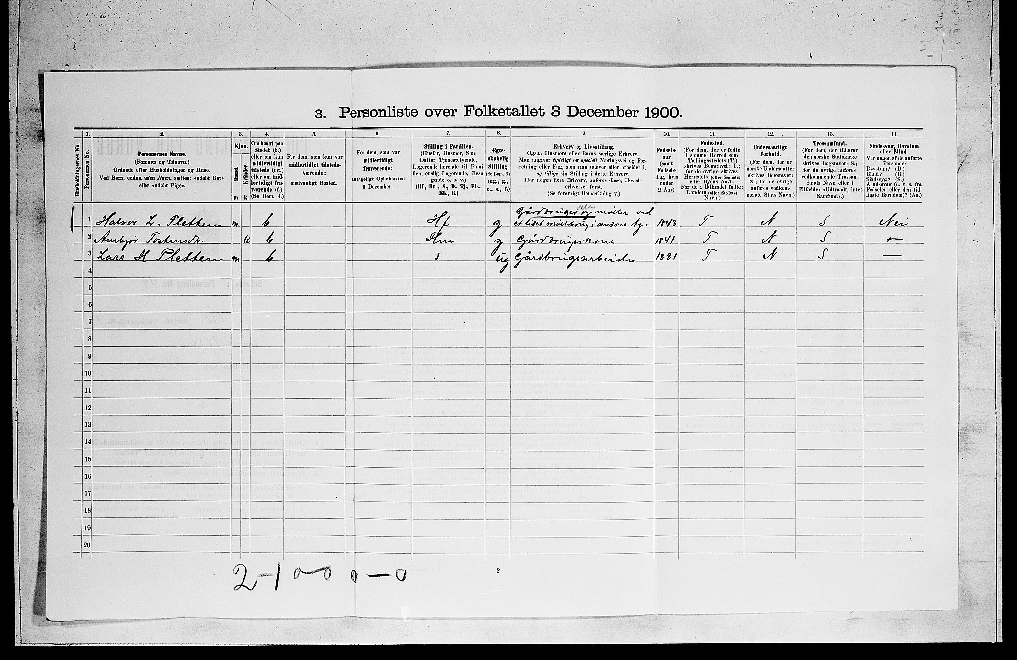 RA, 1900 census for Ål, 1900, p. 1095