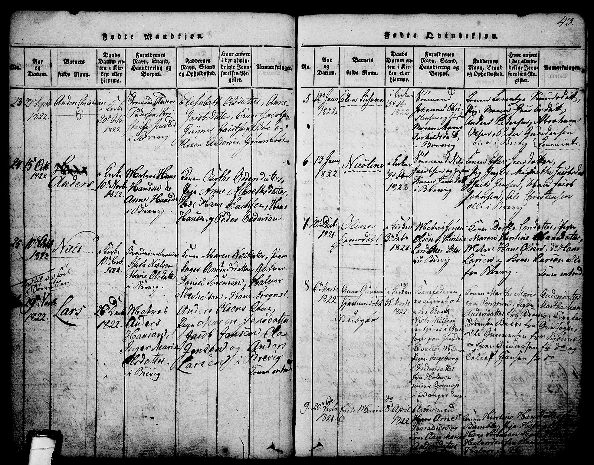 Brevik kirkebøker, SAKO/A-255/G/Ga/L0001: Parish register (copy) no. 1, 1814-1845, p. 43