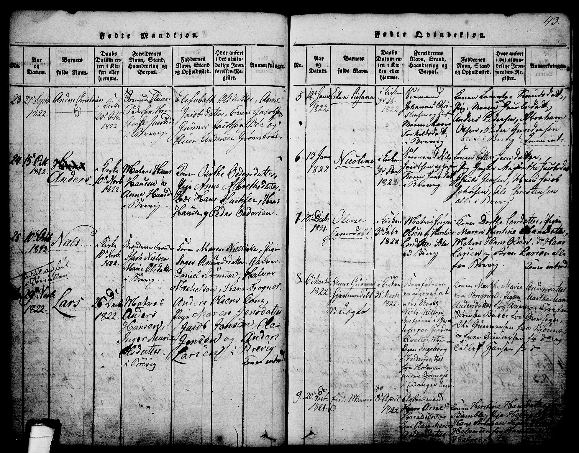 Brevik kirkebøker, AV/SAKO-A-255/G/Ga/L0001: Parish register (copy) no. 1, 1814-1845, p. 43