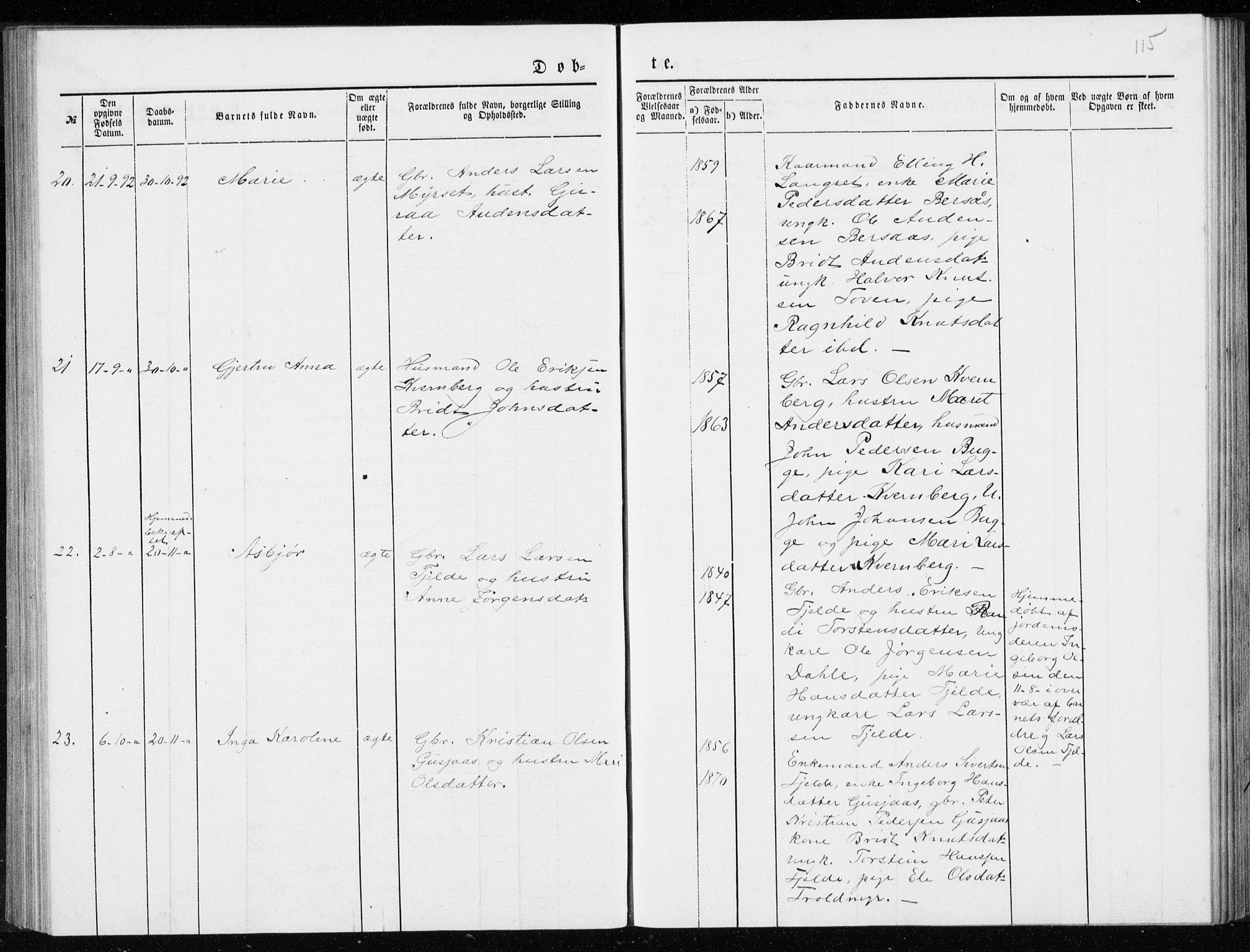 Ministerialprotokoller, klokkerbøker og fødselsregistre - Møre og Romsdal, AV/SAT-A-1454/551/L0631: Parish register (copy) no. 551C03, 1886-1894, p. 115