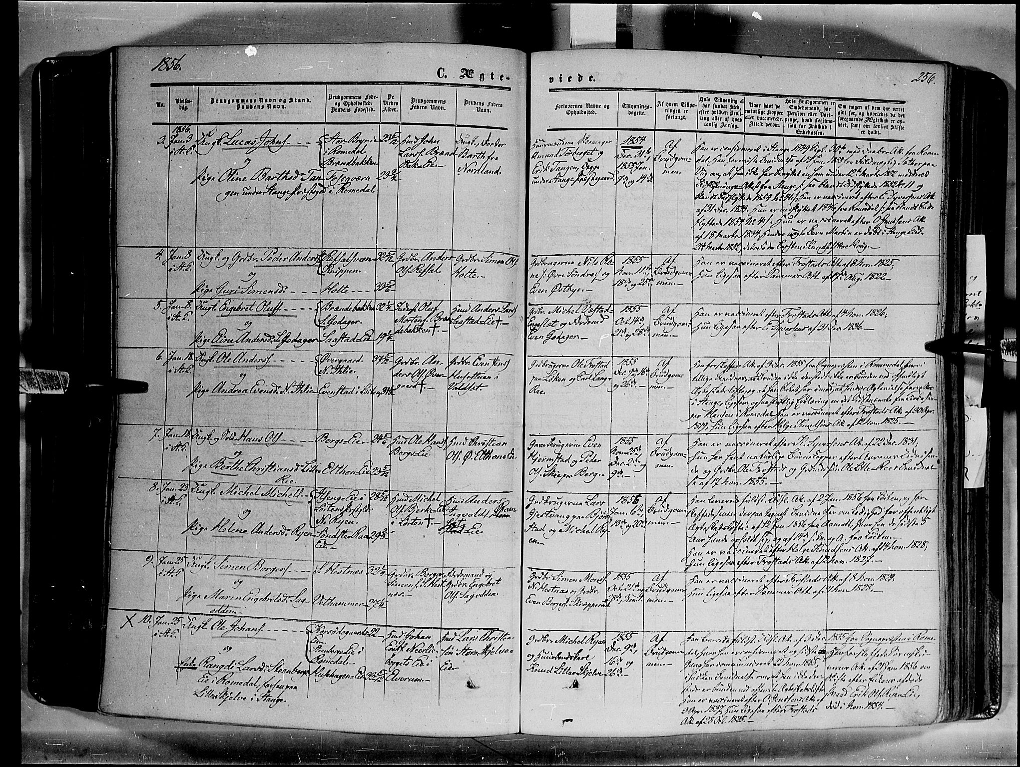 Stange prestekontor, AV/SAH-PREST-002/K/L0012: Parish register (official) no. 12, 1852-1862, p. 256