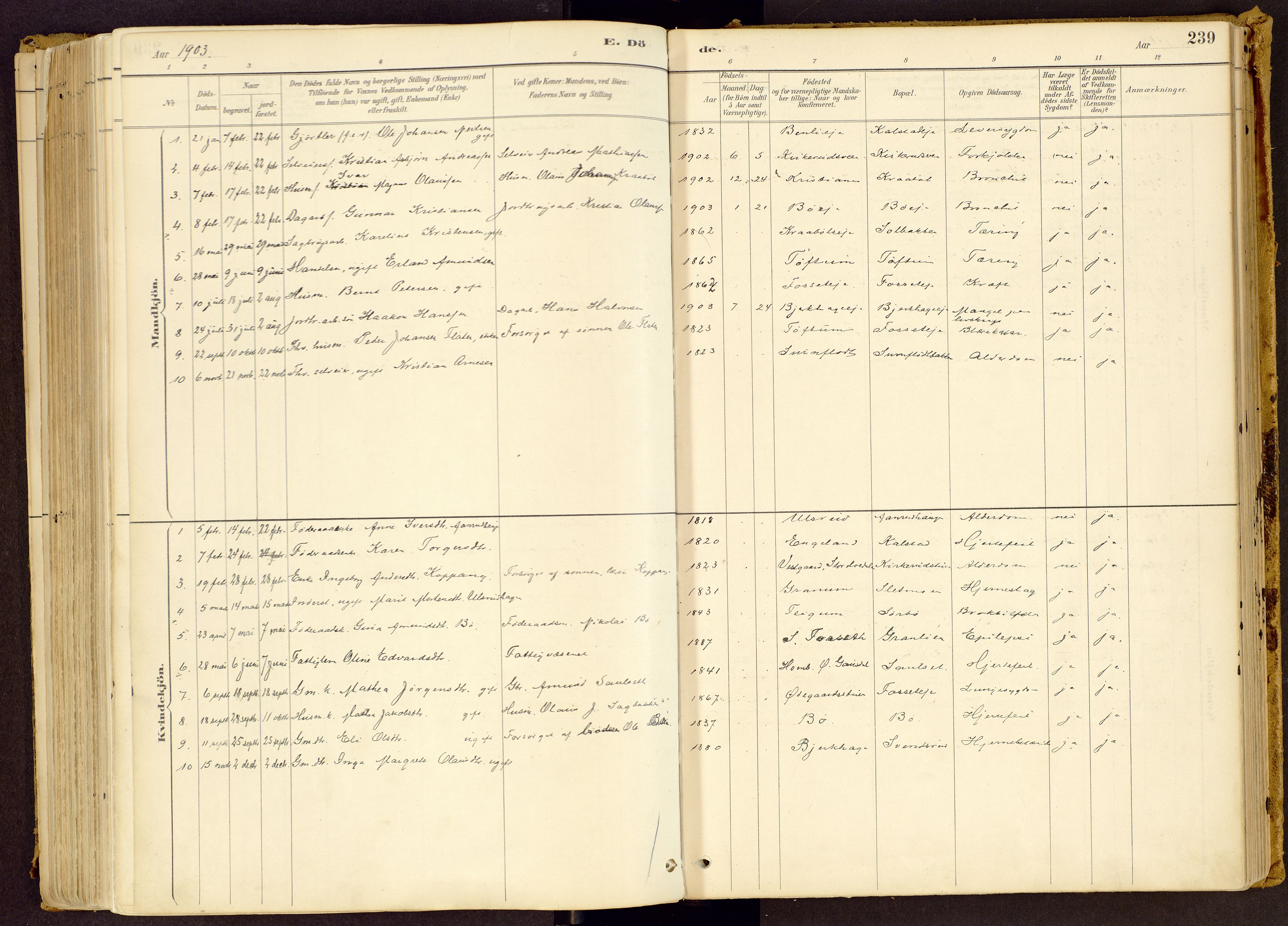 Vestre Gausdal prestekontor, SAH/PREST-094/H/Ha/Haa/L0001: Parish register (official) no. 1, 1887-1914, p. 239
