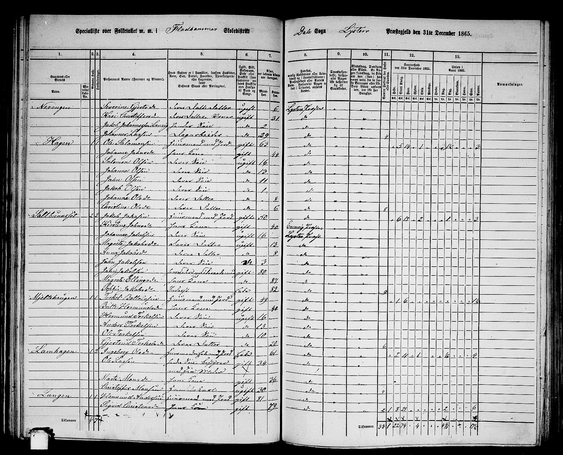 RA, 1865 census for Luster, 1865, p. 73