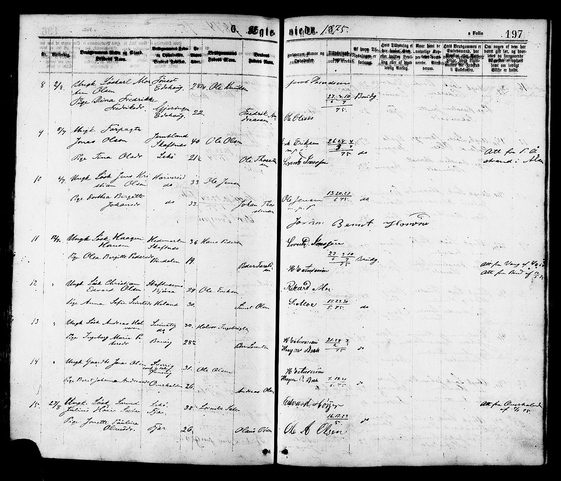 Ministerialprotokoller, klokkerbøker og fødselsregistre - Nord-Trøndelag, AV/SAT-A-1458/780/L0642: Parish register (official) no. 780A07 /1, 1874-1885, p. 197