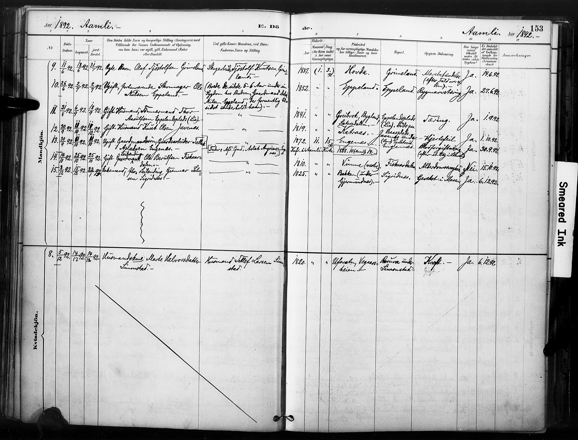 Åmli sokneprestkontor, SAK/1111-0050/F/Fa/Fac/L0010: Parish register (official) no. A 10 /1, 1885-1899, p. 153