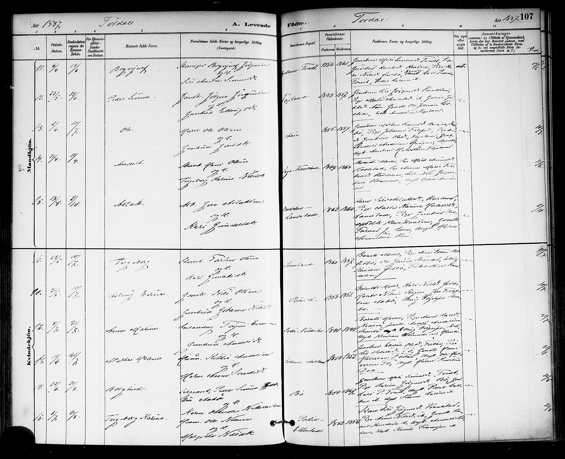 Drangedal kirkebøker, AV/SAKO-A-258/F/Fa/L0010: Parish register (official) no. 10 /2, 1885-1894, p. 107