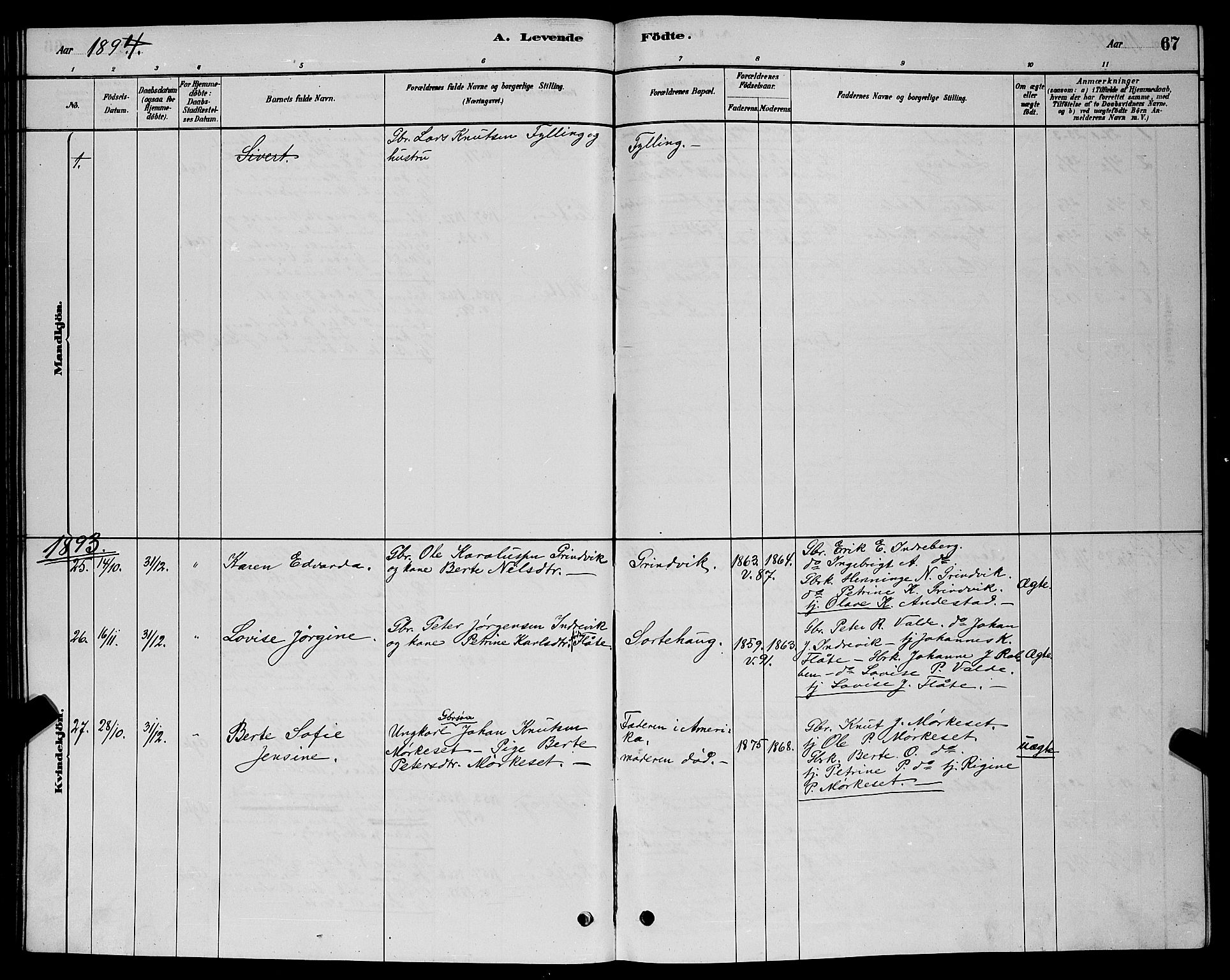 Ministerialprotokoller, klokkerbøker og fødselsregistre - Møre og Romsdal, AV/SAT-A-1454/524/L0365: Parish register (copy) no. 524C06, 1880-1899, p. 67