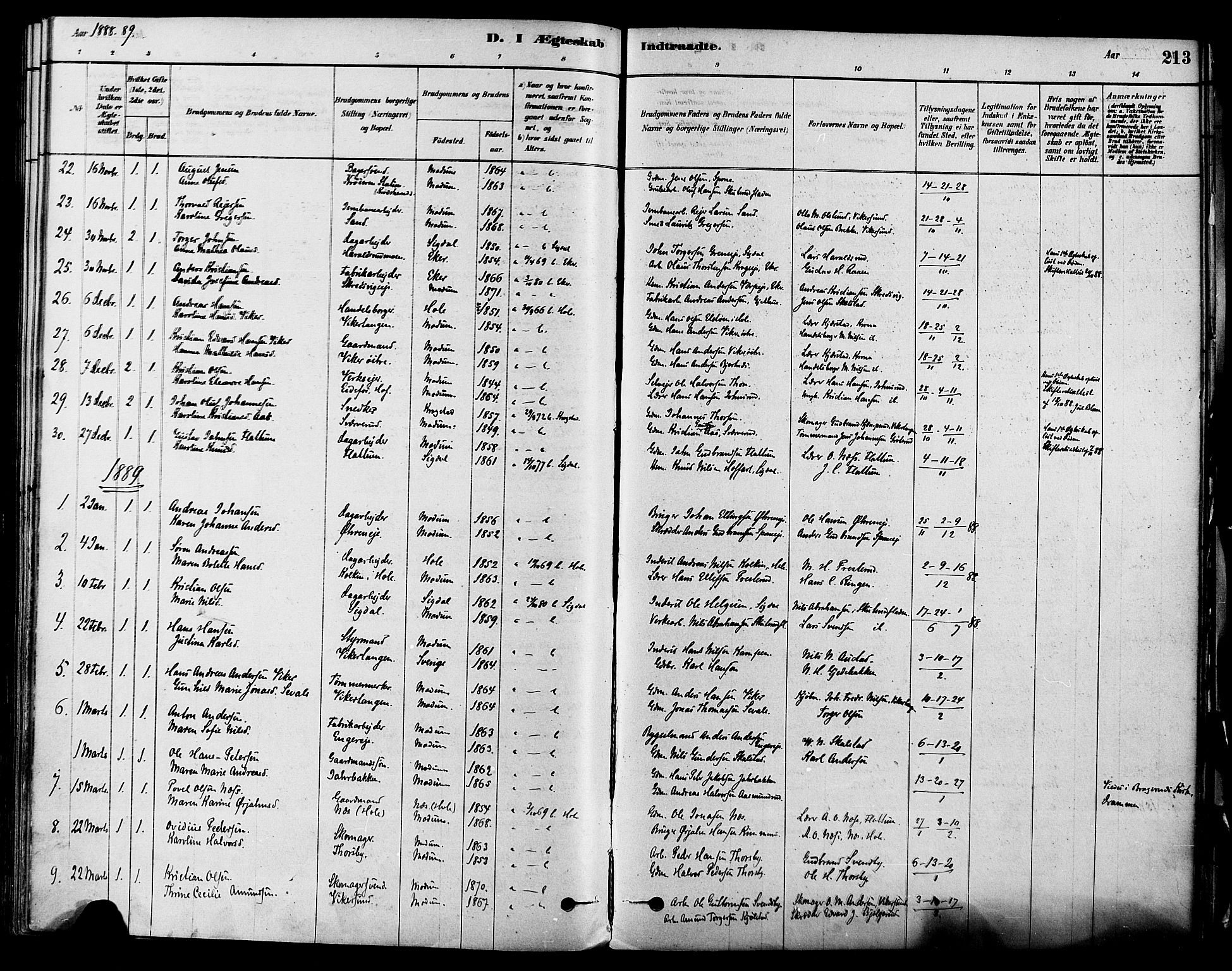 Modum kirkebøker, SAKO/A-234/F/Fa/L0011: Parish register (official) no. 11, 1877-1889, p. 213