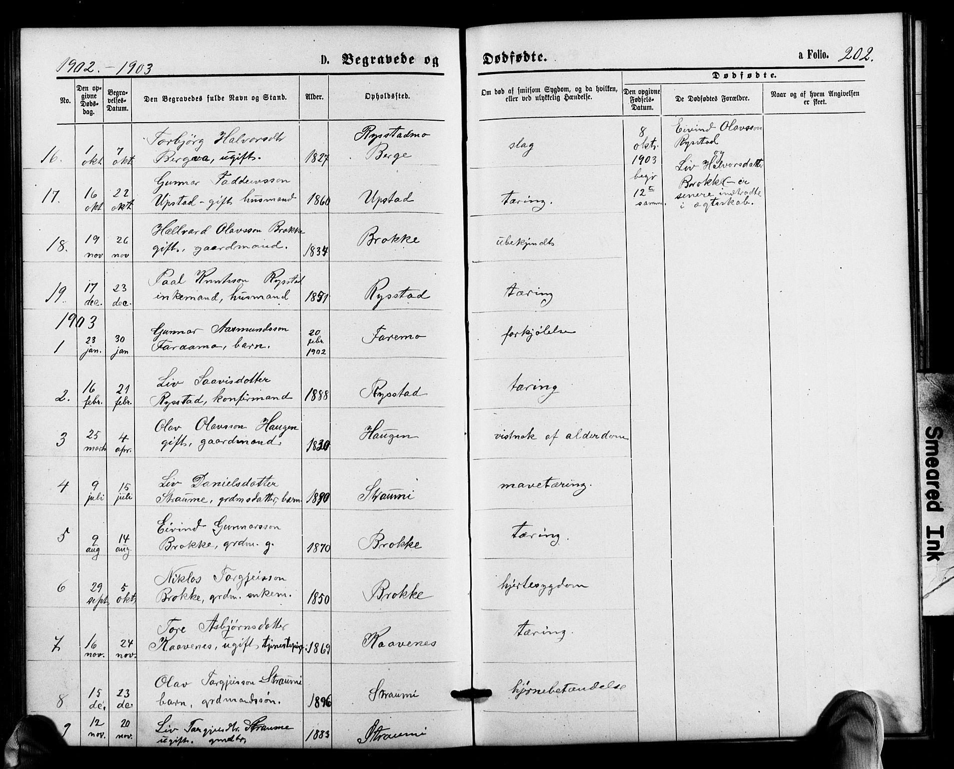 Valle sokneprestkontor, SAK/1111-0044/F/Fb/Fbb/L0002: Parish register (copy) no. B 2, 1875-1921, p. 202