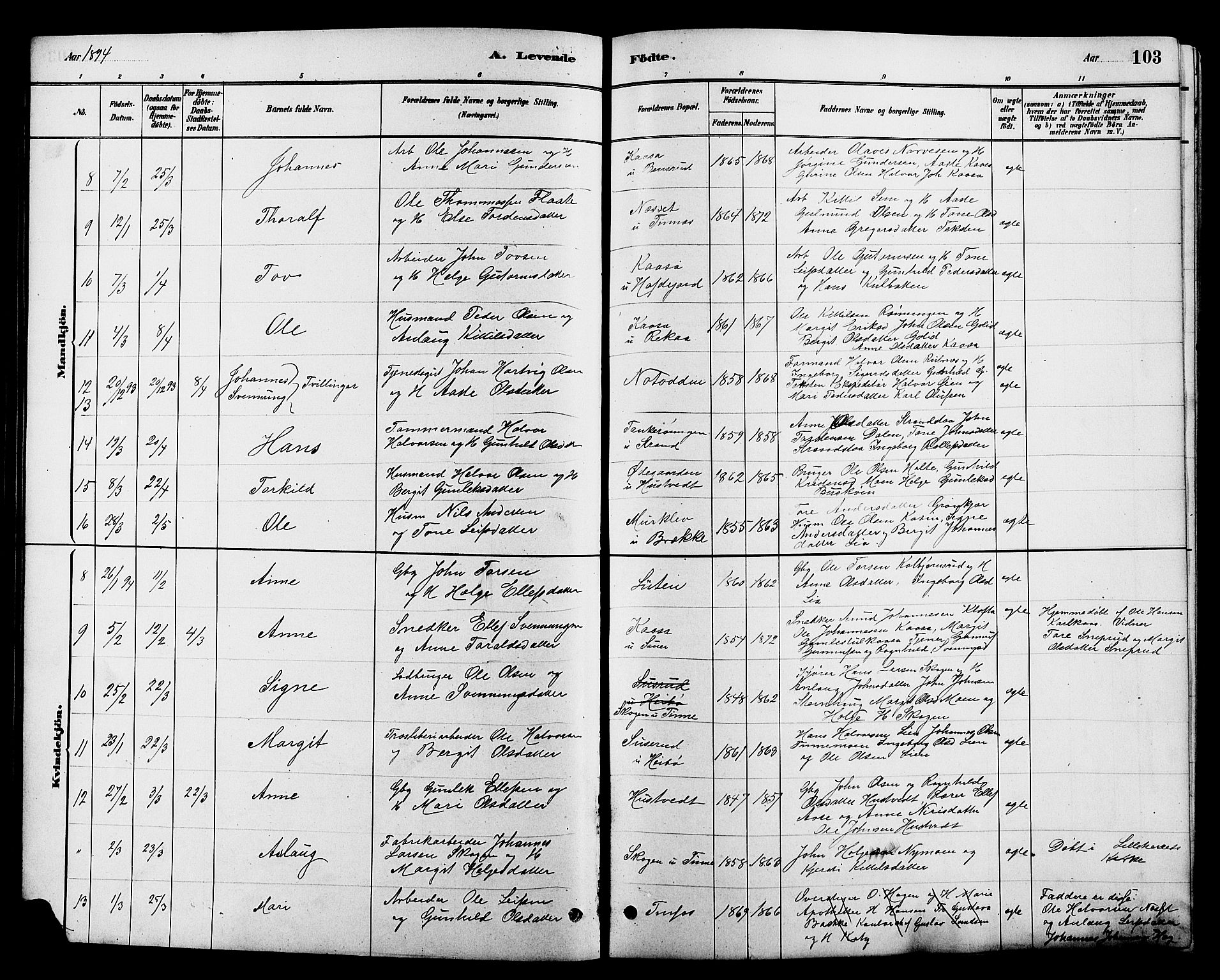 Heddal kirkebøker, SAKO/A-268/G/Ga/L0002: Parish register (copy) no. I 2, 1879-1908, p. 103