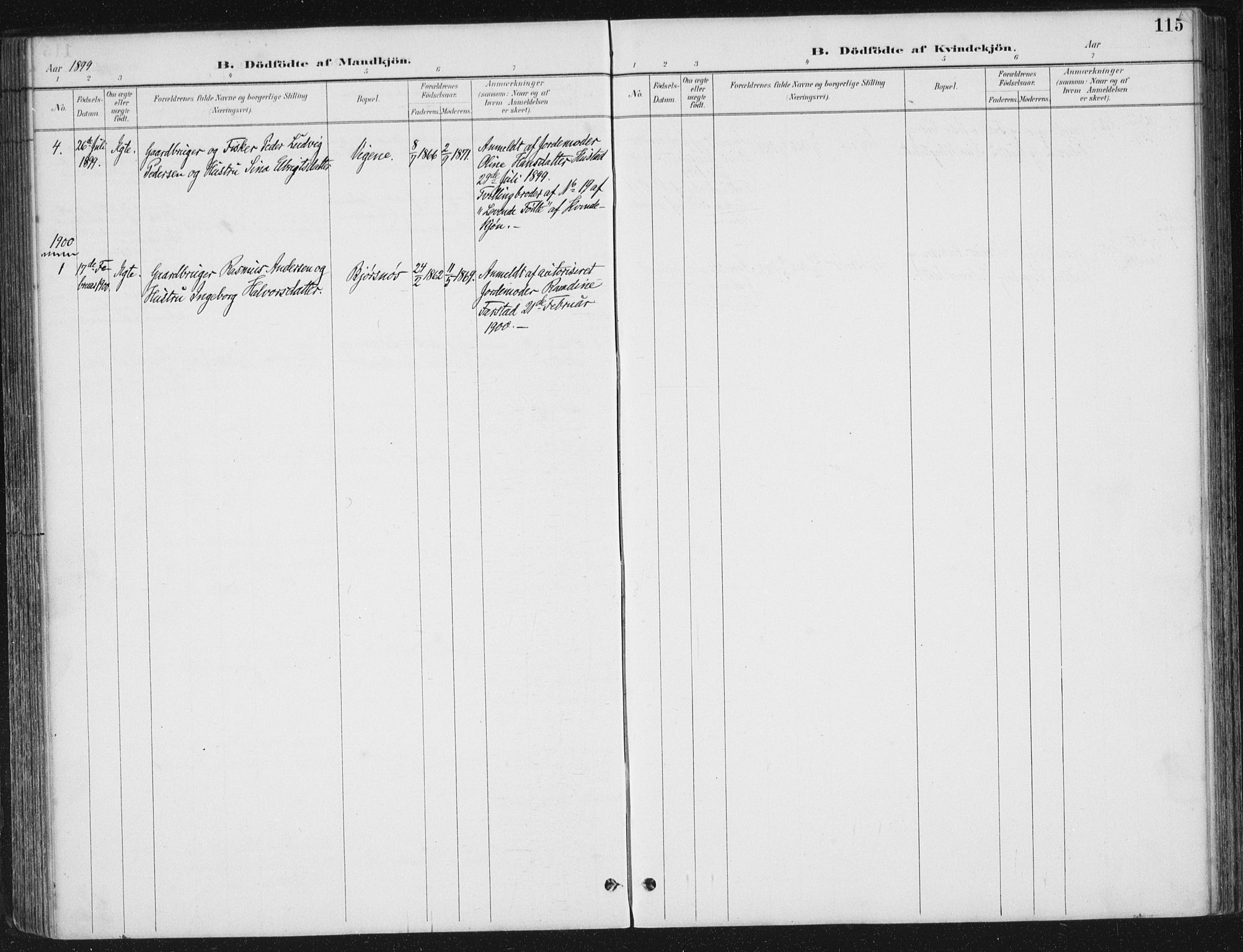 Ministerialprotokoller, klokkerbøker og fødselsregistre - Møre og Romsdal, AV/SAT-A-1454/567/L0783: Parish register (copy) no. 567C03, 1887-1903, p. 115