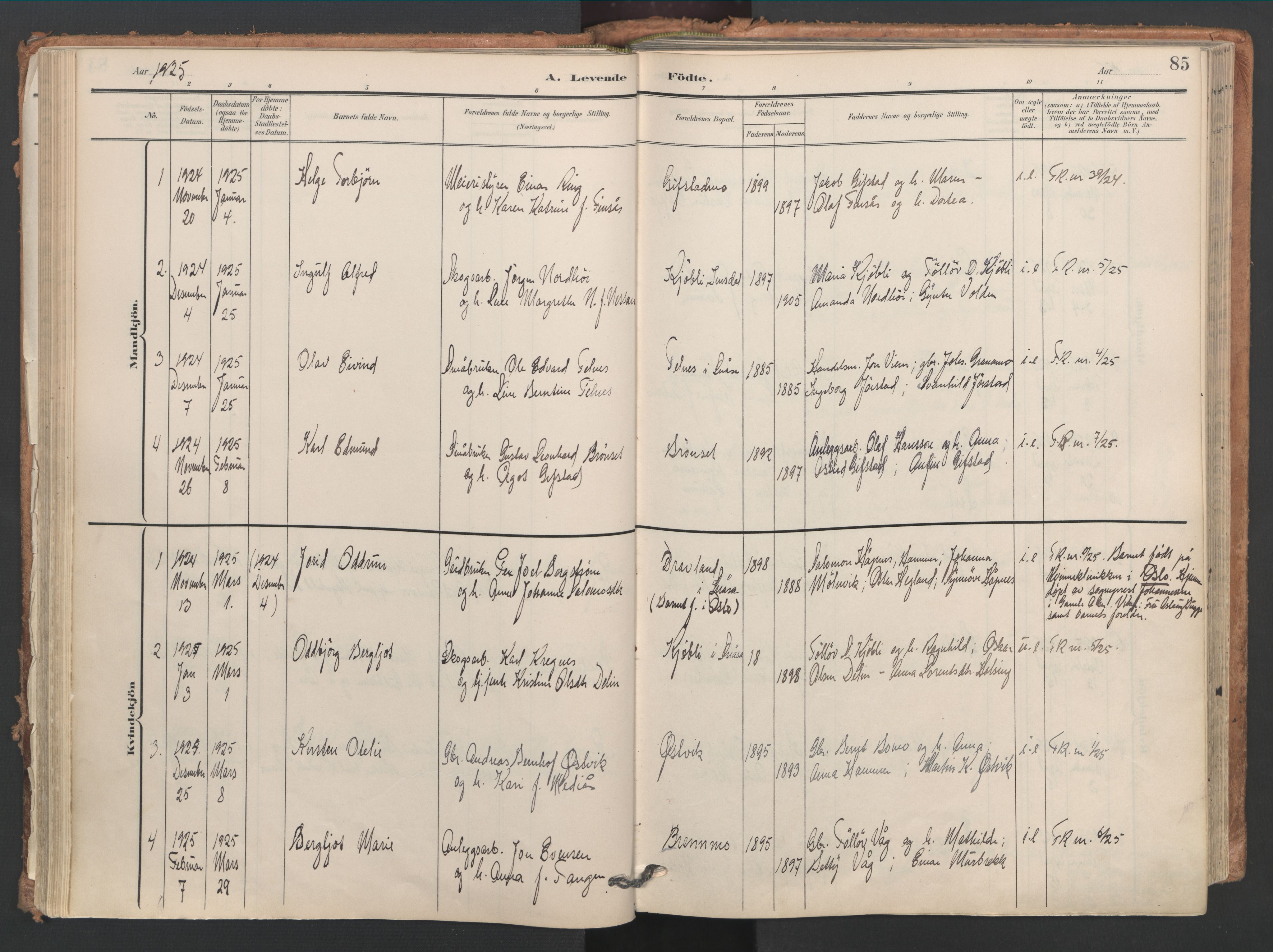 Ministerialprotokoller, klokkerbøker og fødselsregistre - Nord-Trøndelag, SAT/A-1458/749/L0477: Parish register (official) no. 749A11, 1902-1927, p. 85