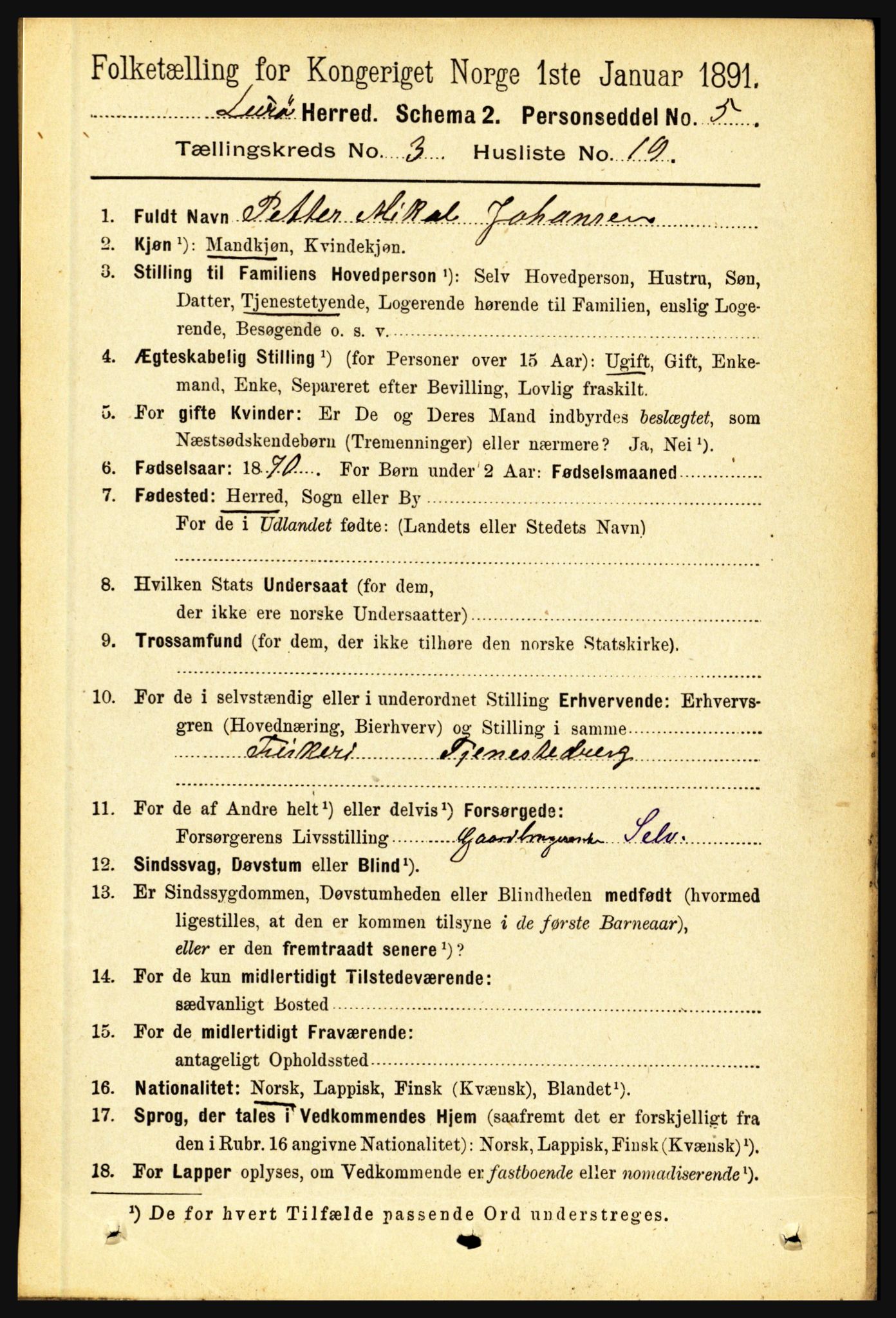 RA, 1891 census for 1834 Lurøy, 1891, p. 1569