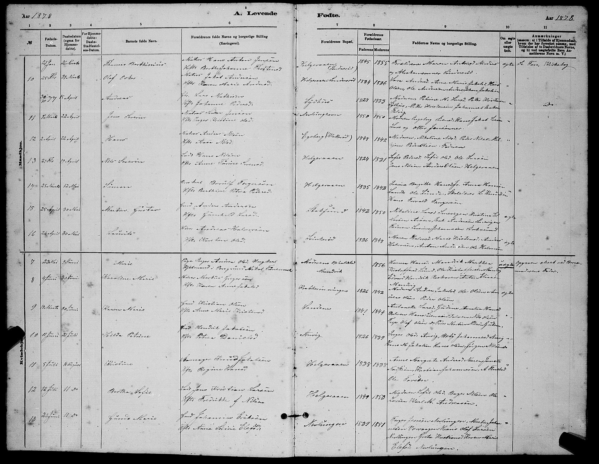 Brunlanes kirkebøker, AV/SAKO-A-342/G/Gb/L0002: Parish register (copy) no. II 2, 1878-1902