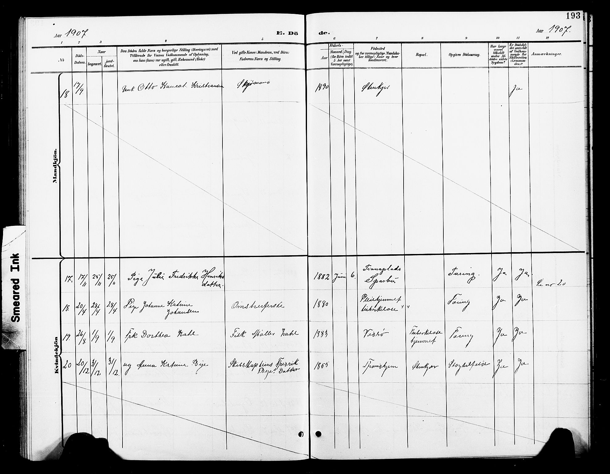 Ministerialprotokoller, klokkerbøker og fødselsregistre - Nord-Trøndelag, SAT/A-1458/739/L0375: Parish register (copy) no. 739C03, 1898-1908, p. 193