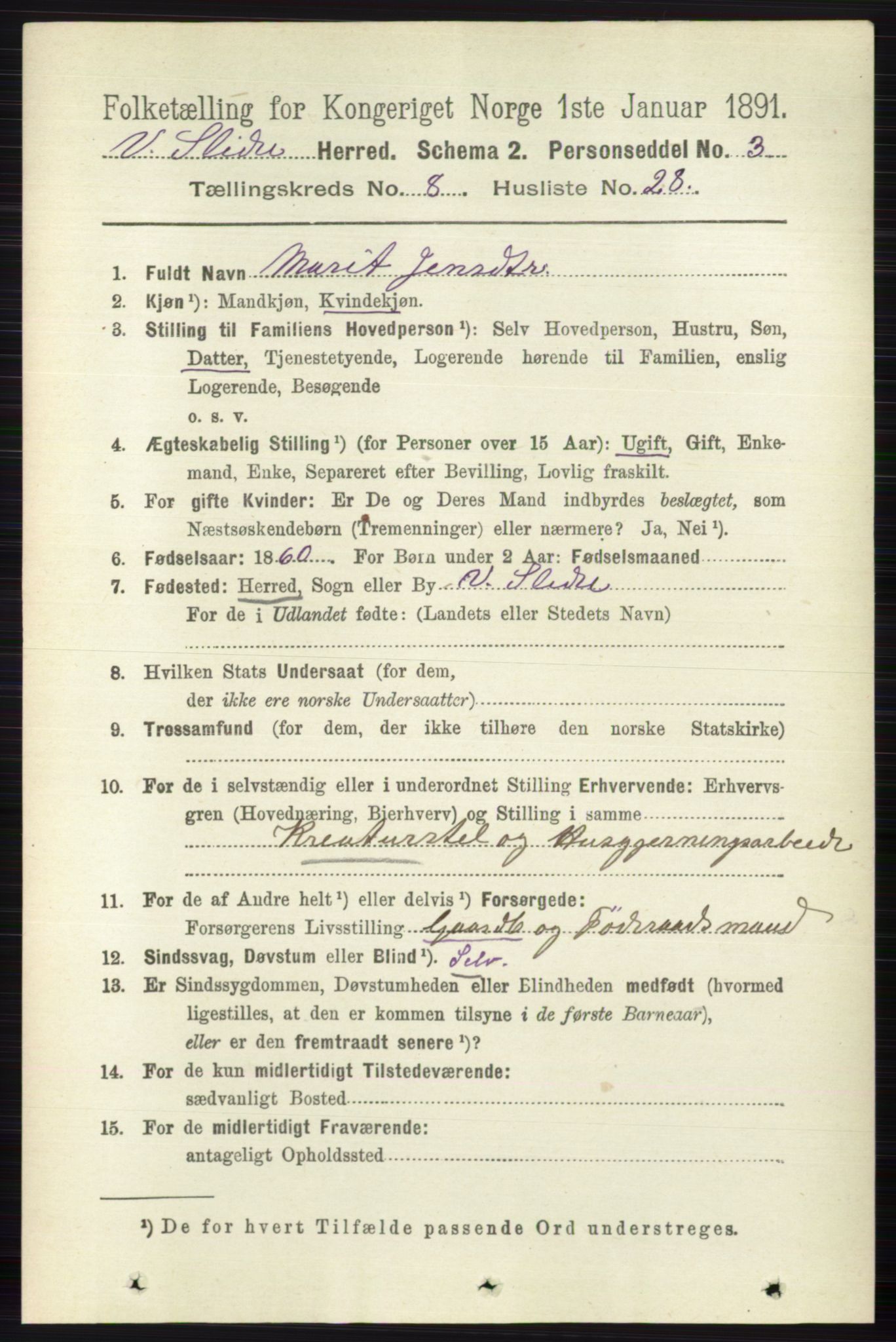 RA, 1891 census for 0543 Vestre Slidre, 1891, p. 3132