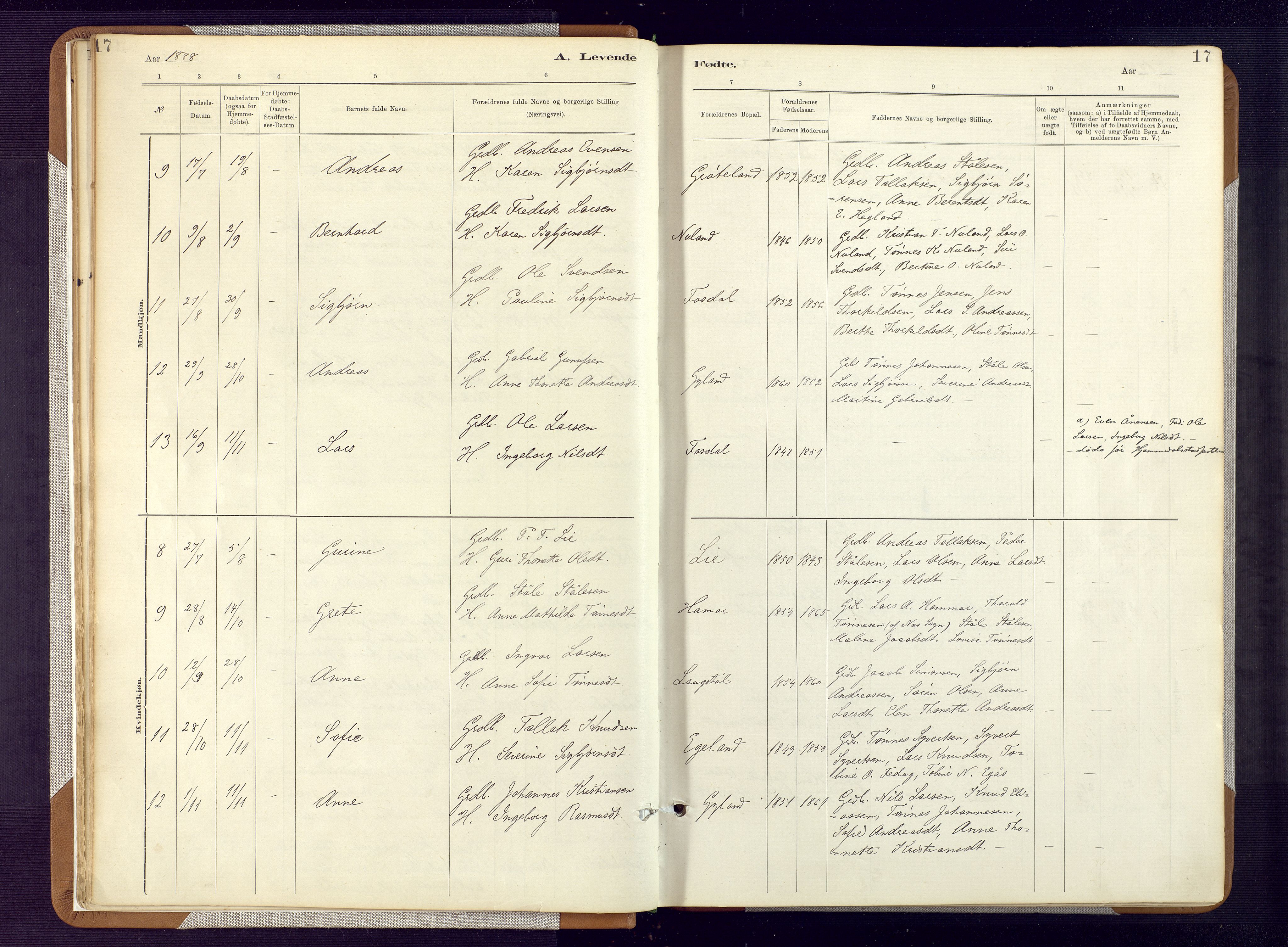 Bakke sokneprestkontor, AV/SAK-1111-0002/F/Fa/Fab/L0003: Parish register (official) no. A 3, 1884-1921, p. 17