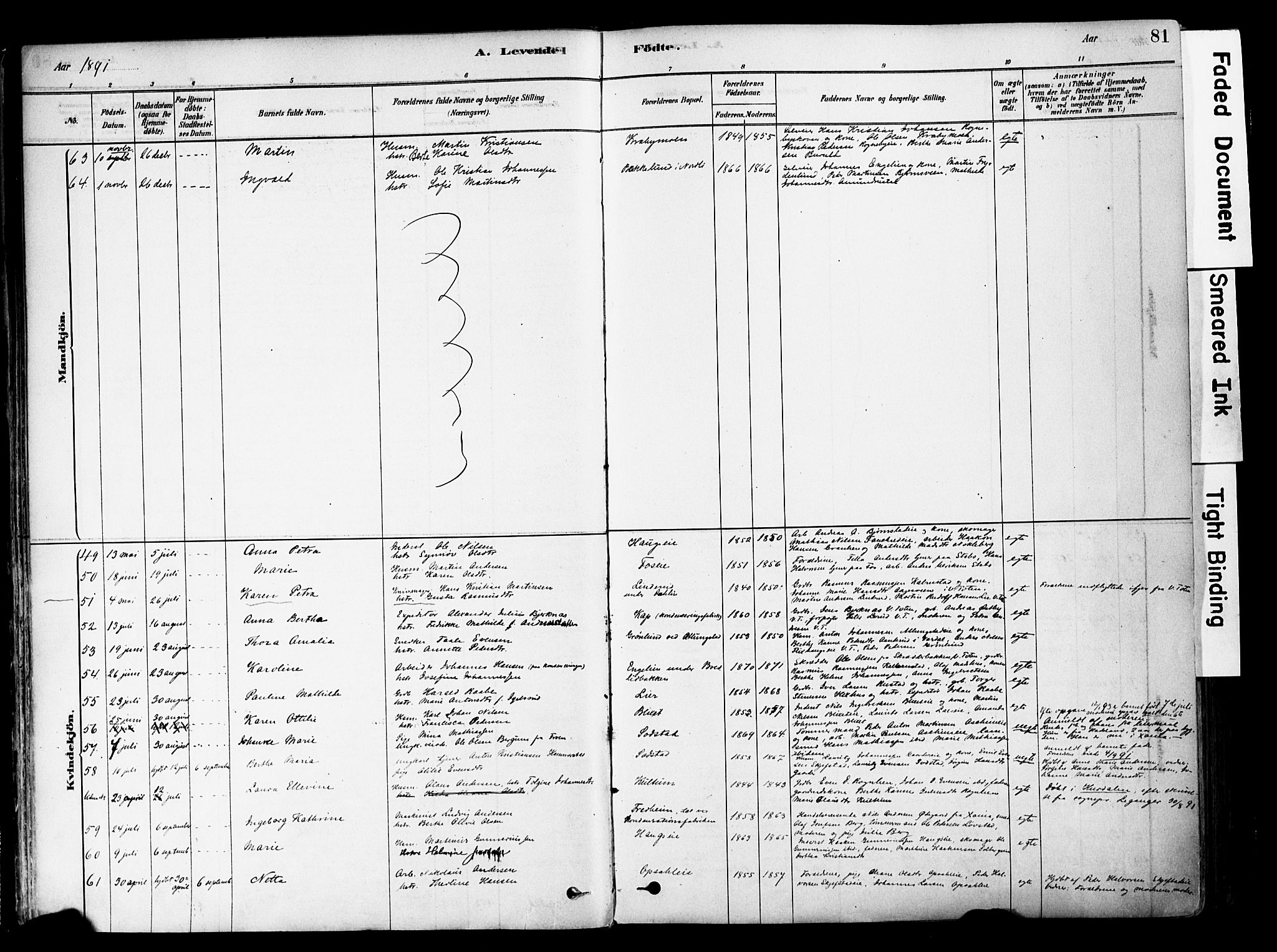 Østre Toten prestekontor, AV/SAH-PREST-104/H/Ha/Haa/L0006: Parish register (official) no. 6 /1, 1878-1896, p. 81