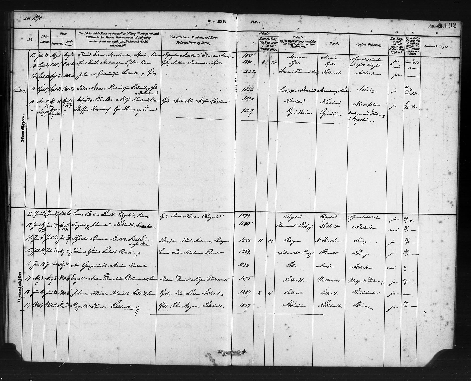 Manger sokneprestembete, AV/SAB-A-76801/H/Haa: Parish register (official) no. C 1, 1881-1890, p. 102