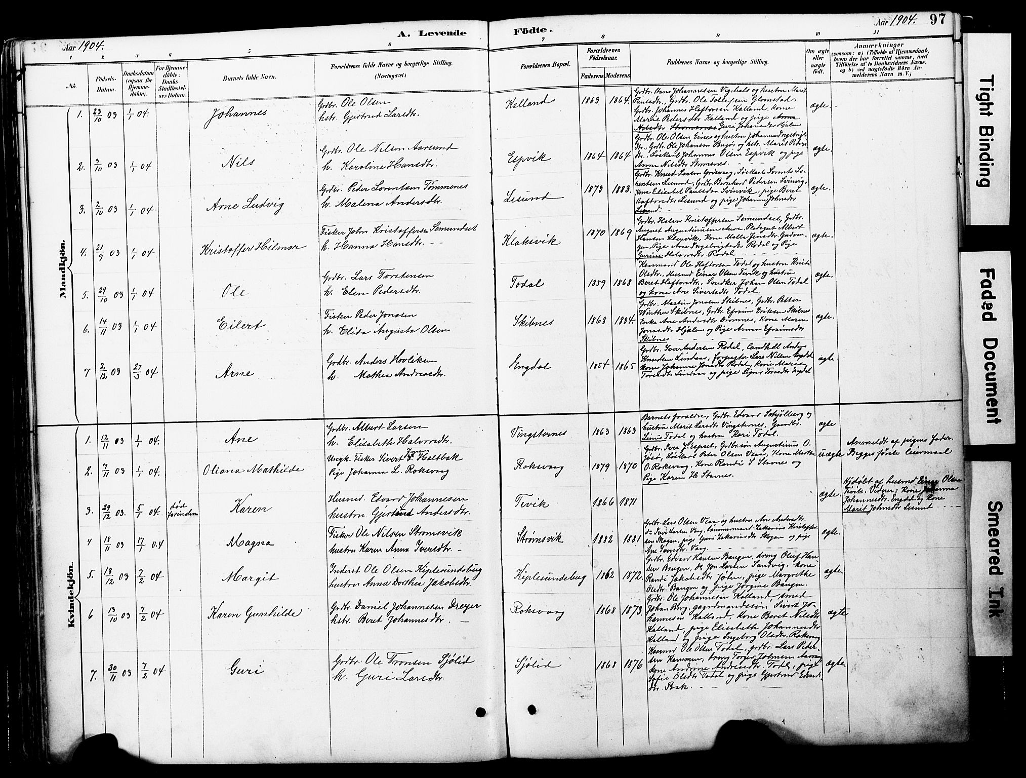 Ministerialprotokoller, klokkerbøker og fødselsregistre - Møre og Romsdal, AV/SAT-A-1454/578/L0907: Parish register (official) no. 578A06, 1887-1904, p. 97