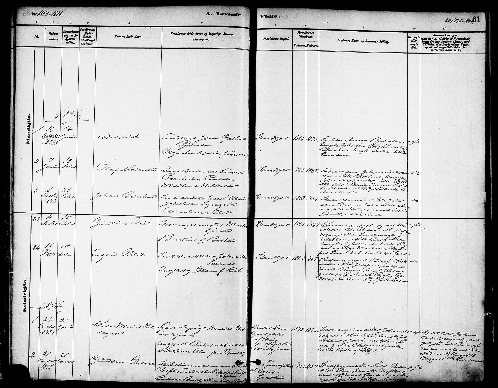 Ministerialprotokoller, klokkerbøker og fødselsregistre - Nord-Trøndelag, SAT/A-1458/739/L0371: Parish register (official) no. 739A03, 1881-1895, p. 61